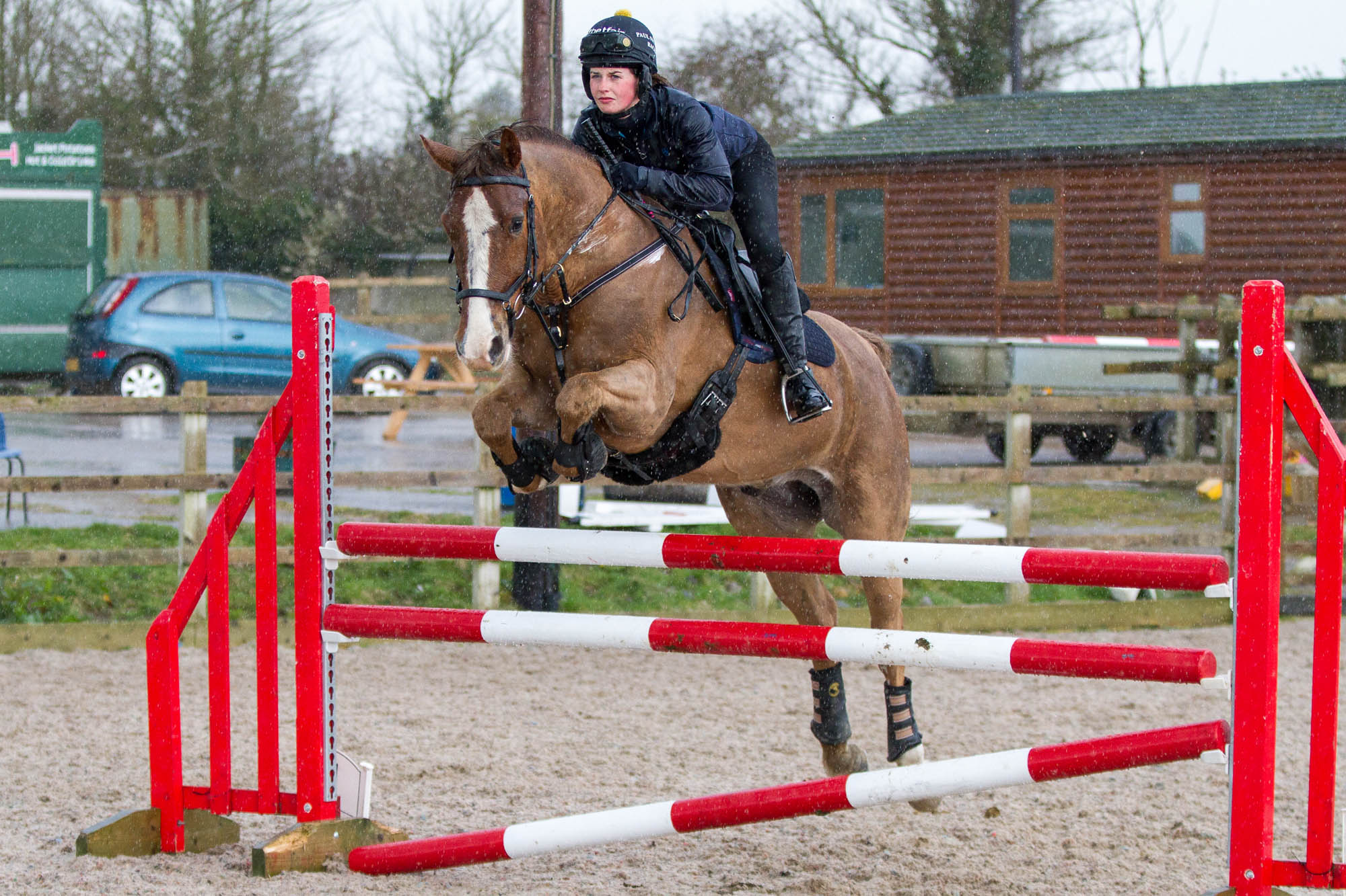Rescue horse Harry’s winning ways with rehomer