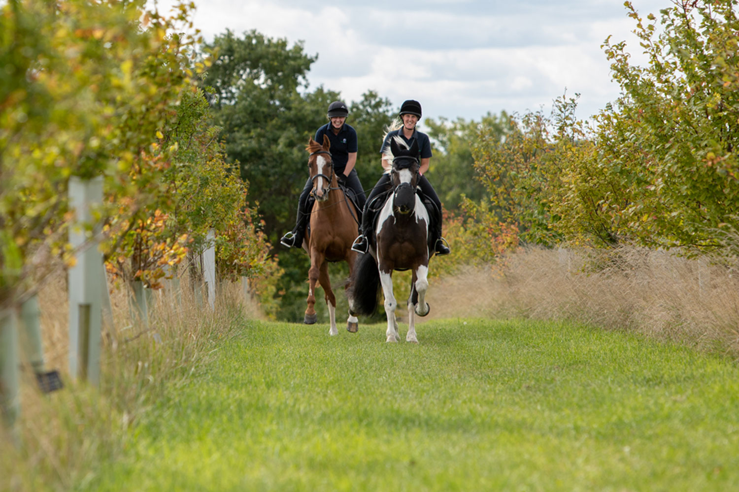 Tacking up and ridden behaviours