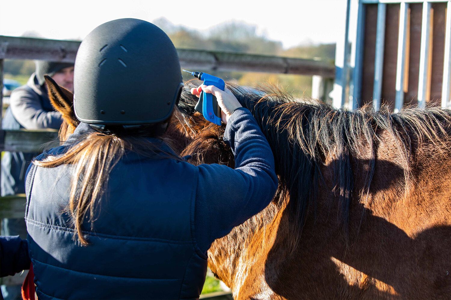 Birth of first foal from rescued ‘smuggled’ Dover 26 horses