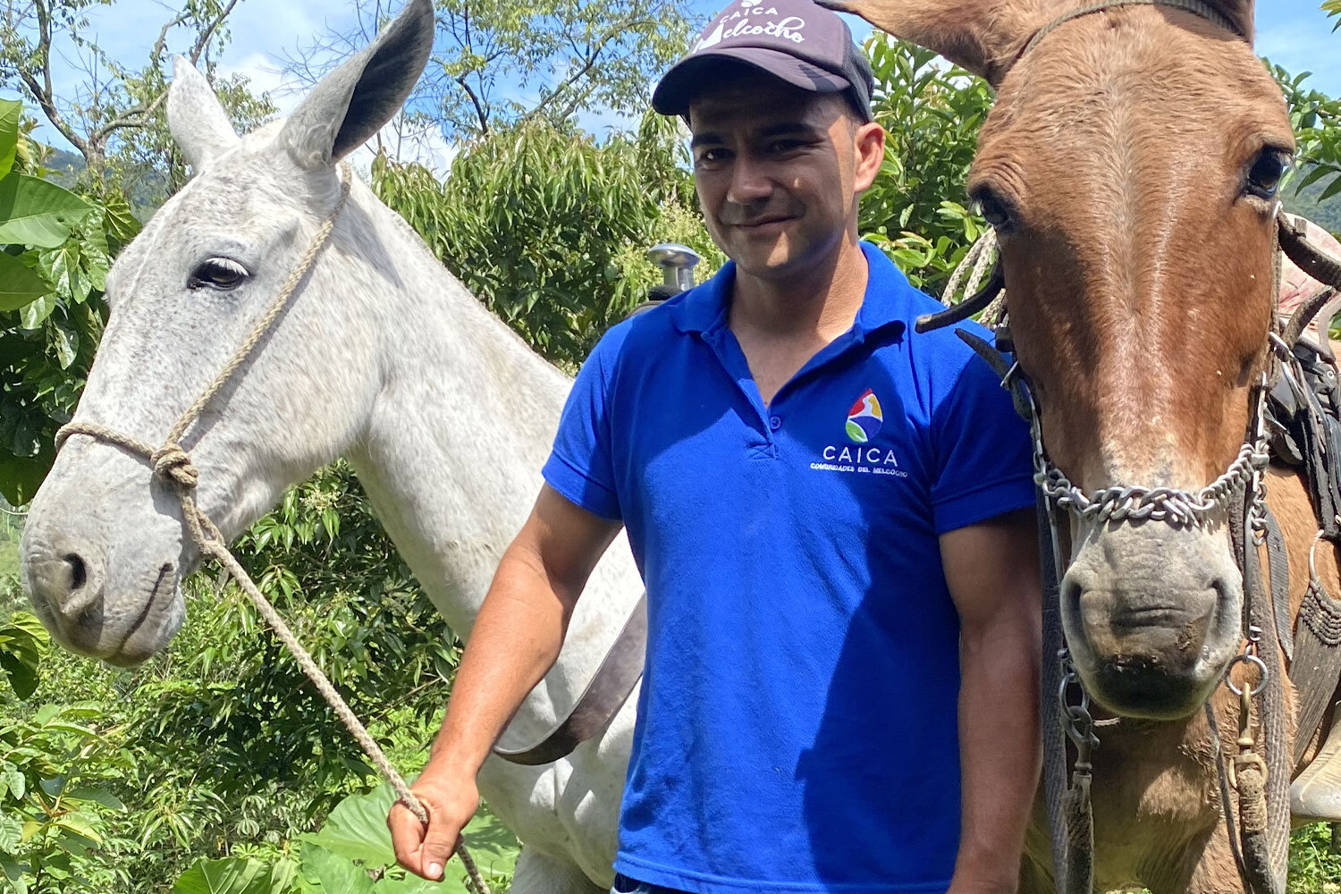 The cost of a coffee can improve the lives of the horses – and the people – who transport it