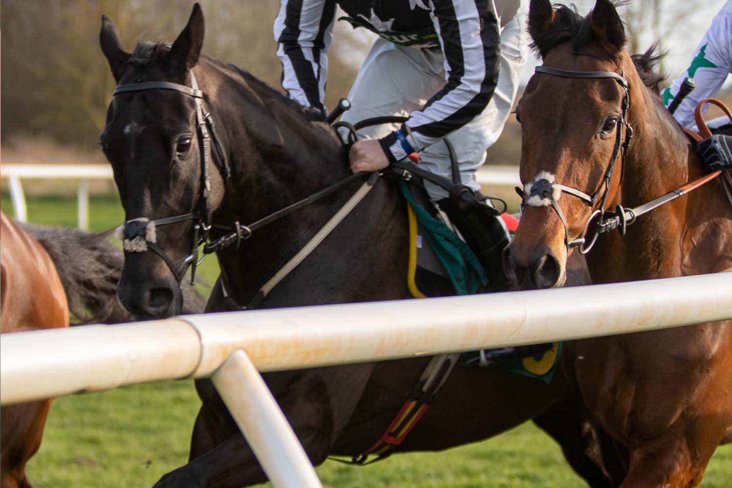 Learning how to protect equestrianism’s social licence from other industries’ experiences 
