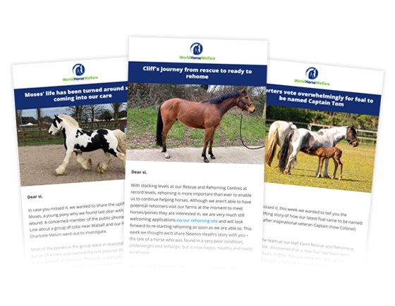 Our Newsletter
