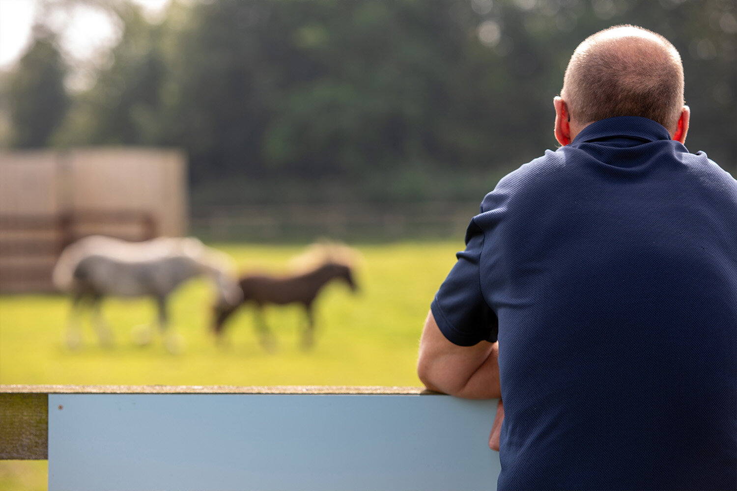Birth of first foal from rescued ‘smuggled’ Dover 26 horses