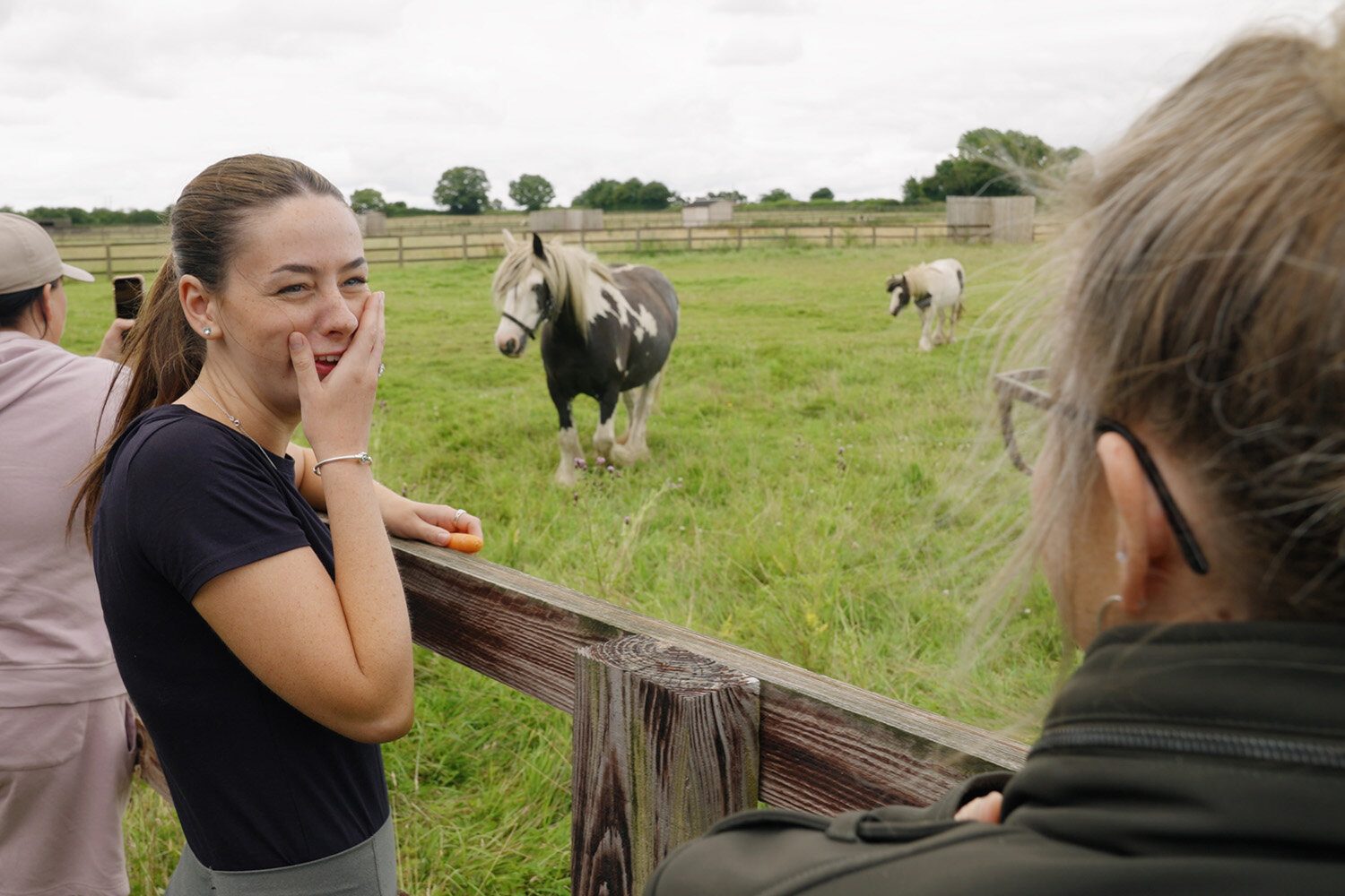 Birth of first foal from rescued ‘smuggled’ Dover 26 horses