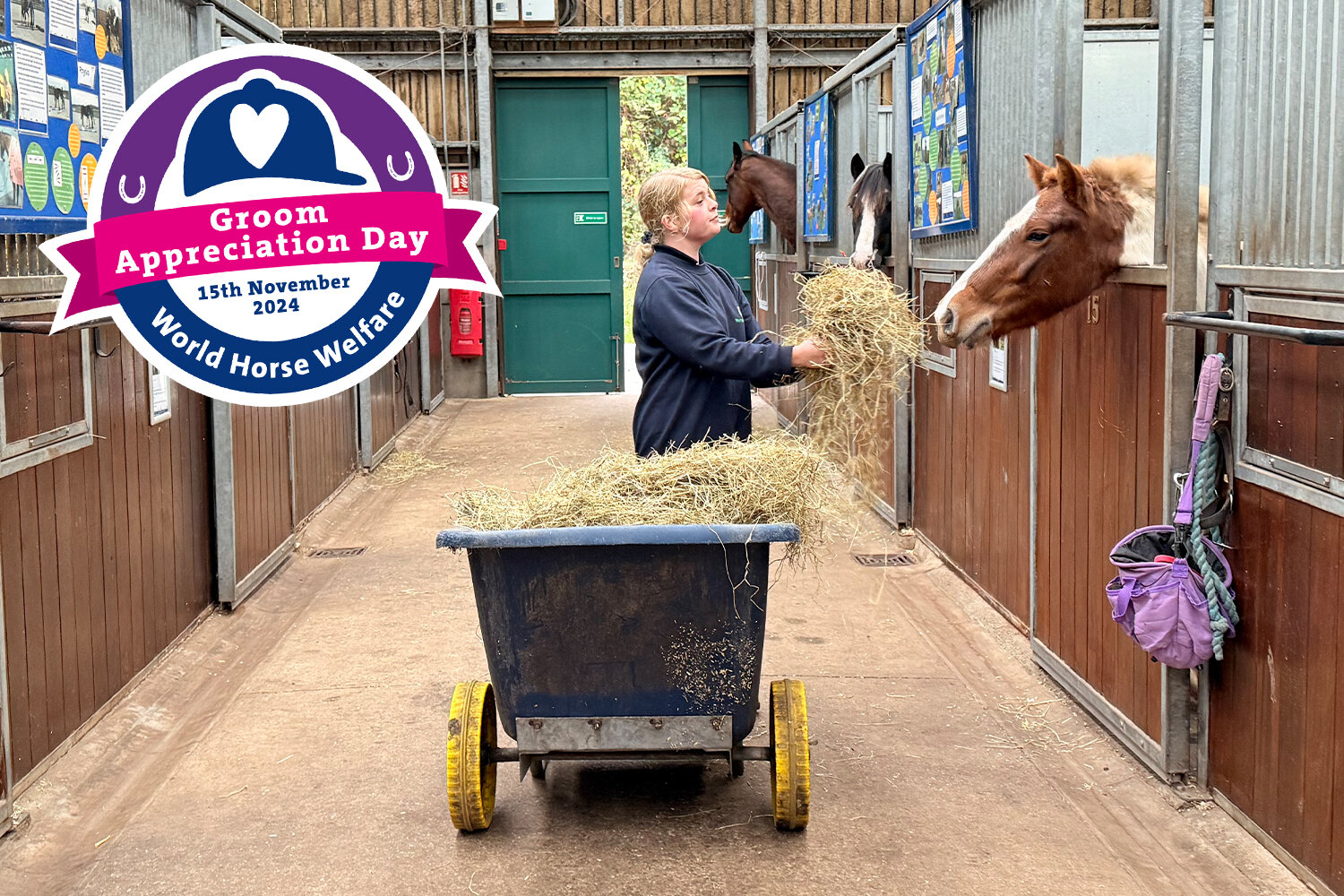 Meet some of our often-unsung heroes on Groom Appreciation Day – Emily at Penny Farm 