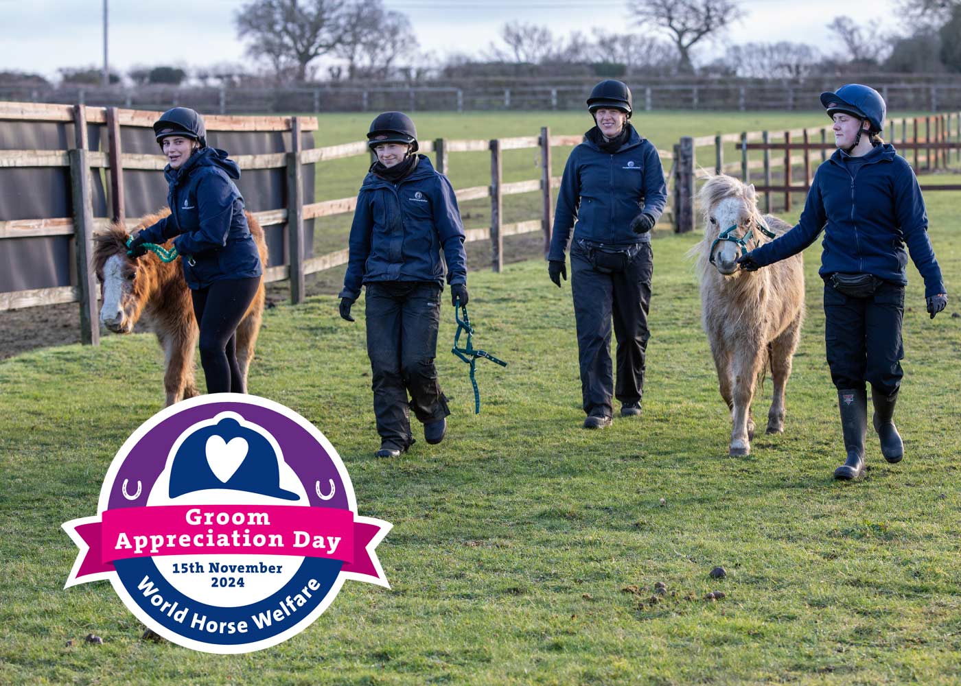Birth of first foal from rescued ‘smuggled’ Dover 26 horses