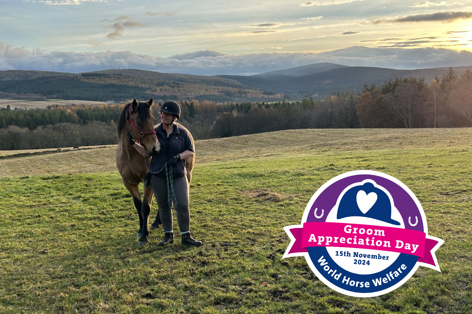 Meet some of our often-unsung heroes on Groom Appreciation Day – Abi at Belwade Farm 