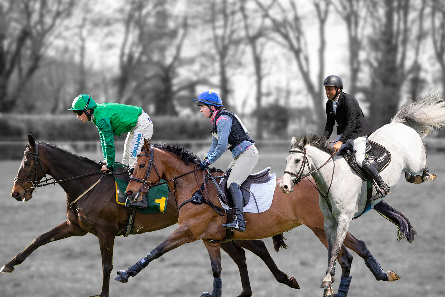 Results released of largest and most in-depth study into UK public attitudes towards horse sport and equine welfare
