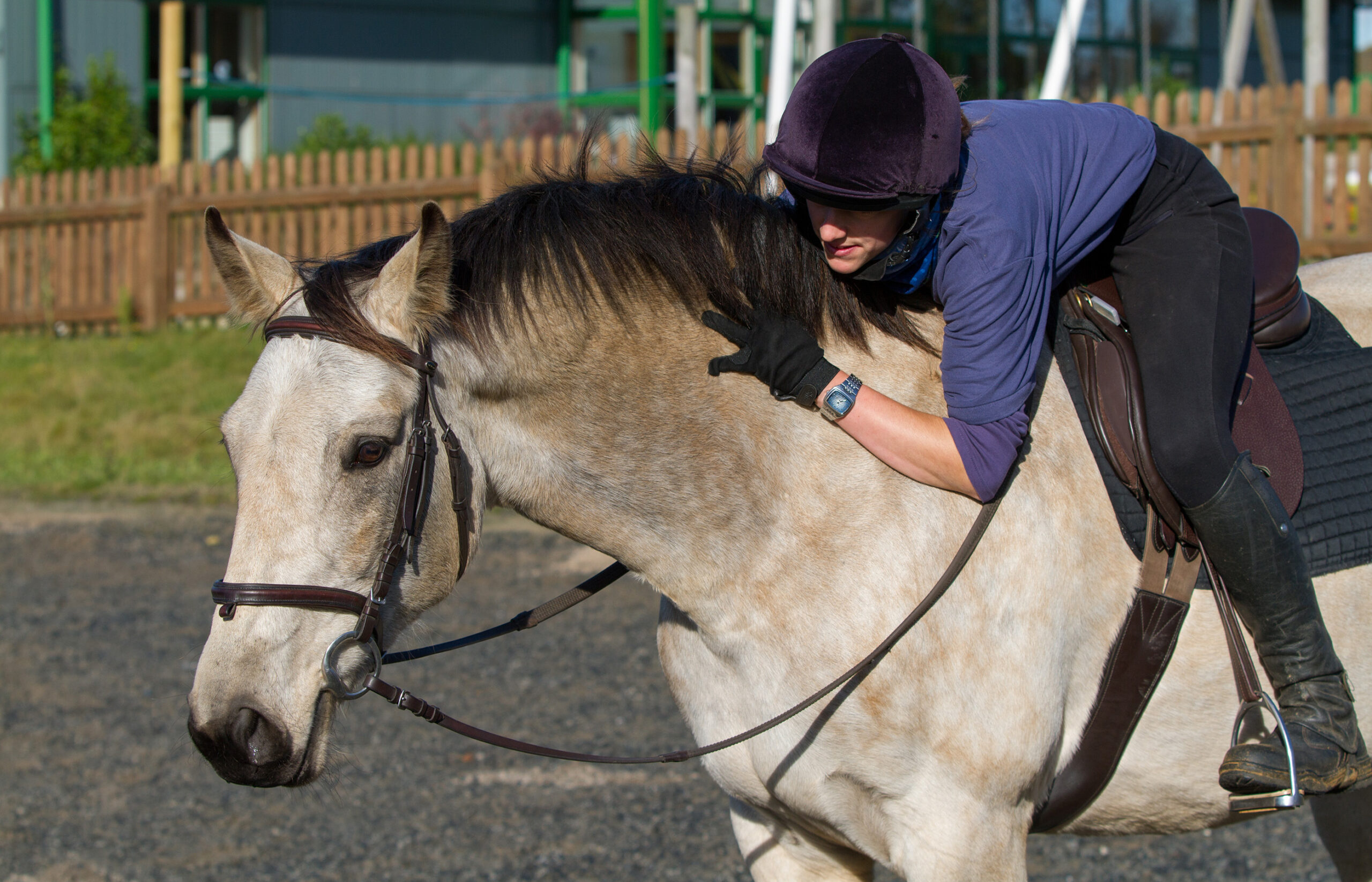 The carrot or the stick: applying learning theory to horse riding