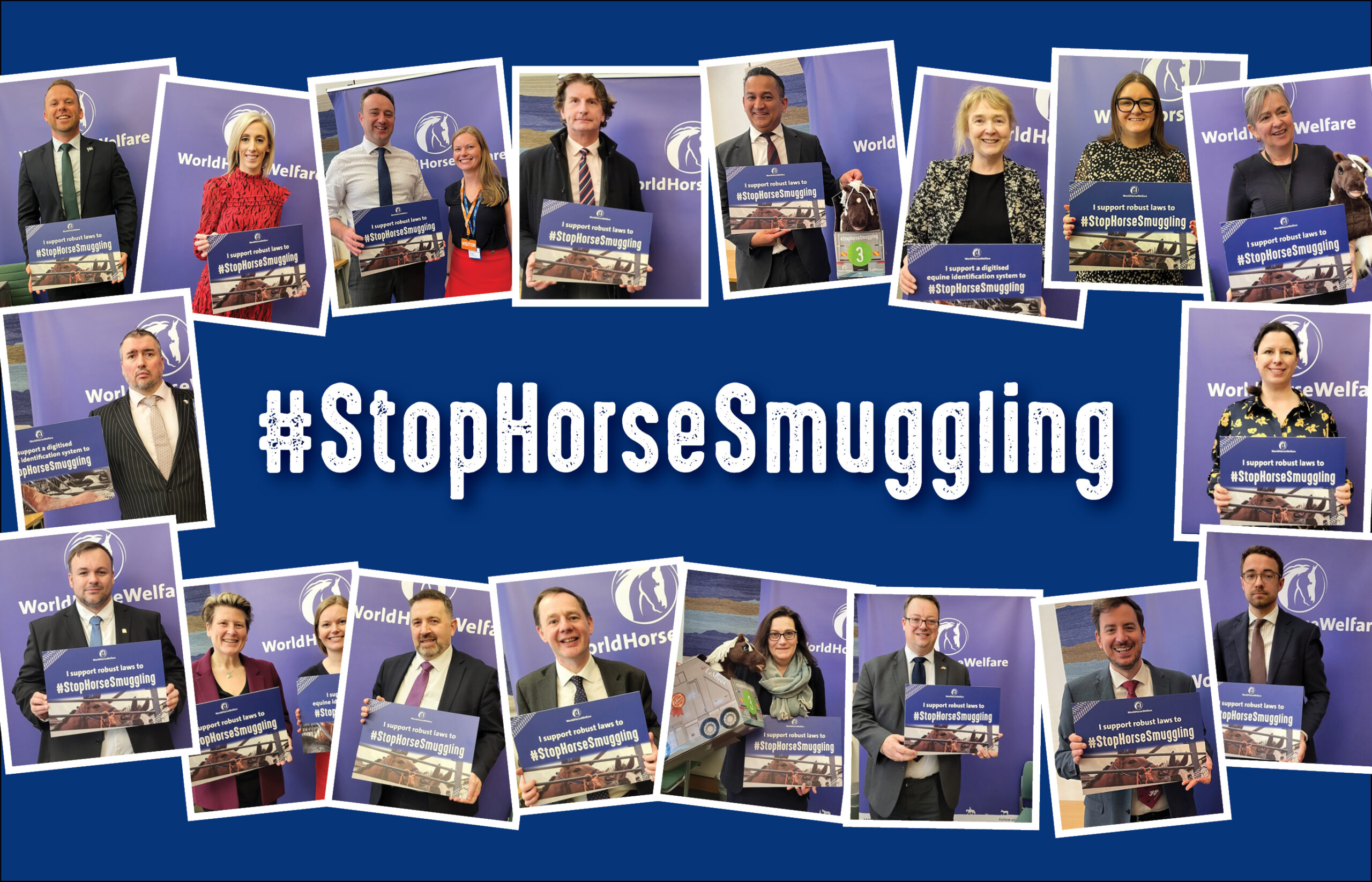 How our charity is making sure horse smuggling remains on the political agenda