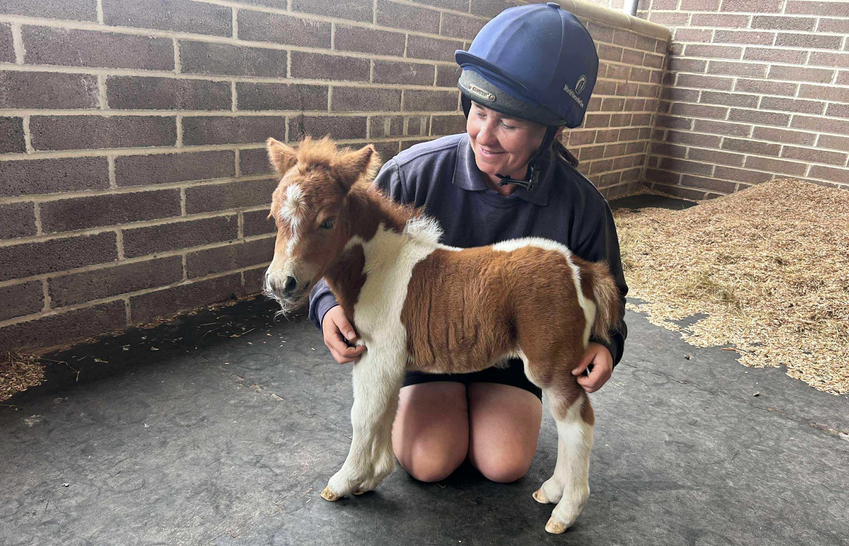 Glenda Spooner Farm kicks off summer fun