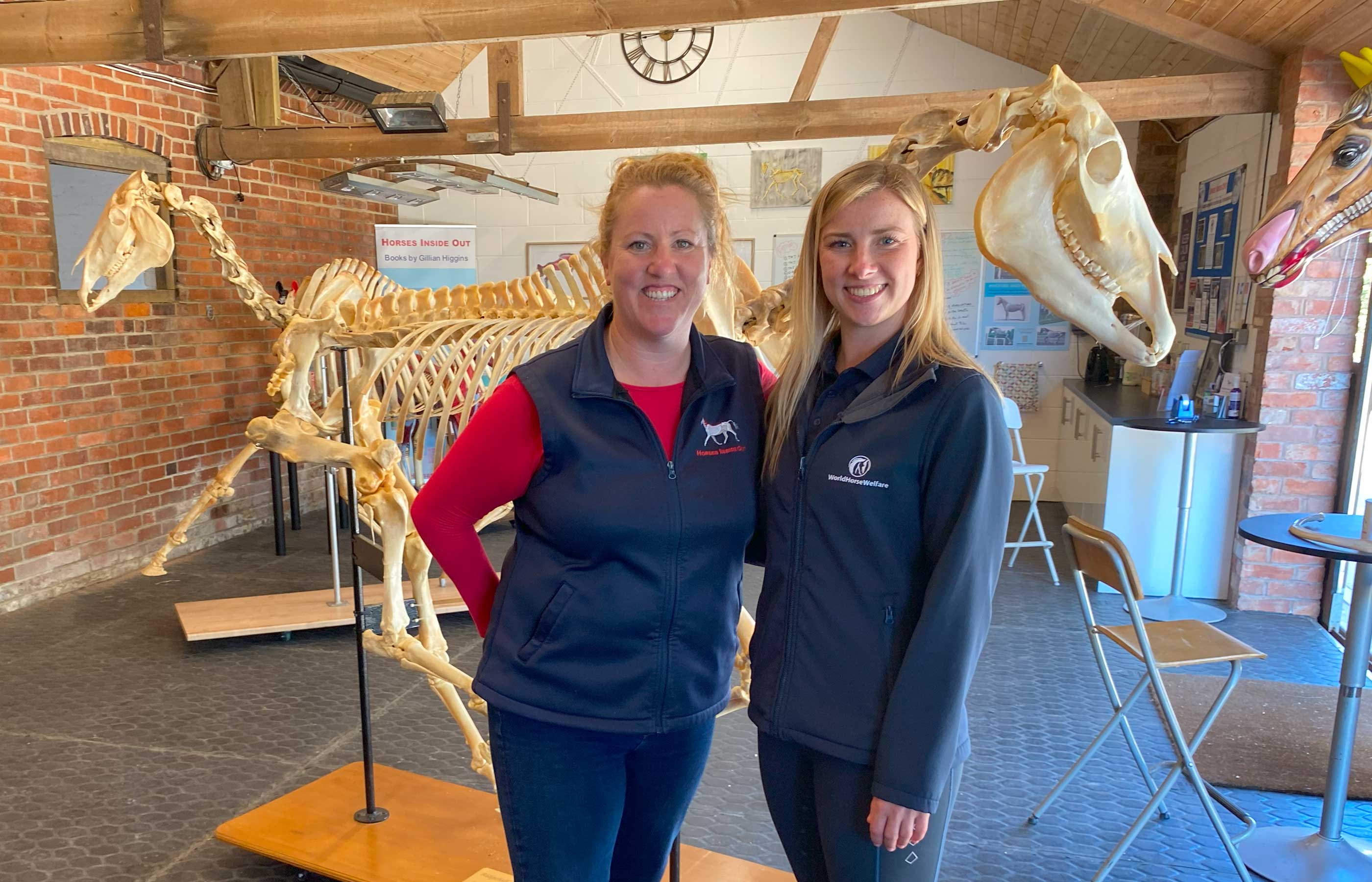Common equine anatomy myths debunked – and the impact of poor posture explained