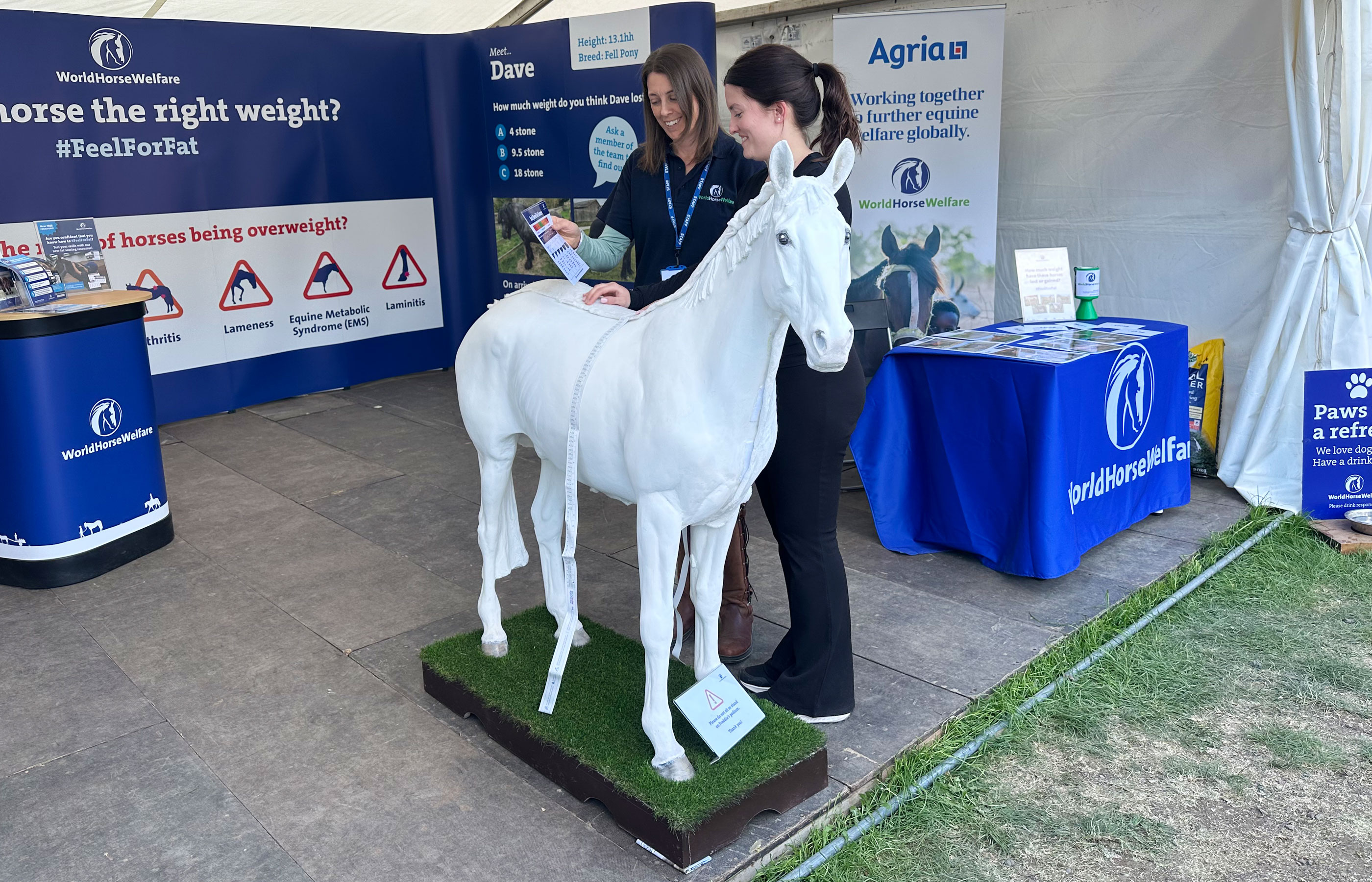 Scottish horse owners are invited to #FeelForFat at Scone Palace International Horse Trials