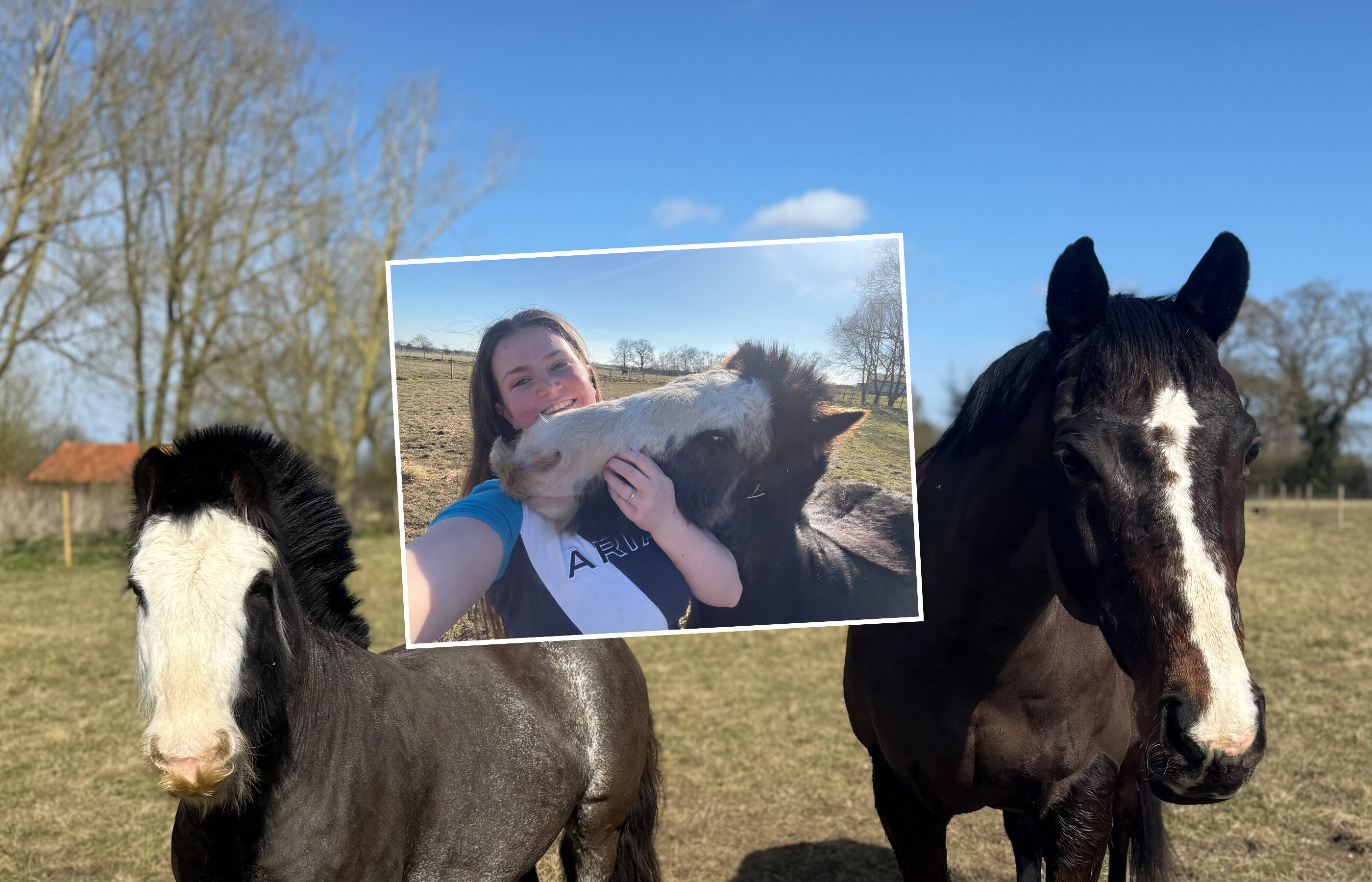 Life beyond rescue: Bobbie