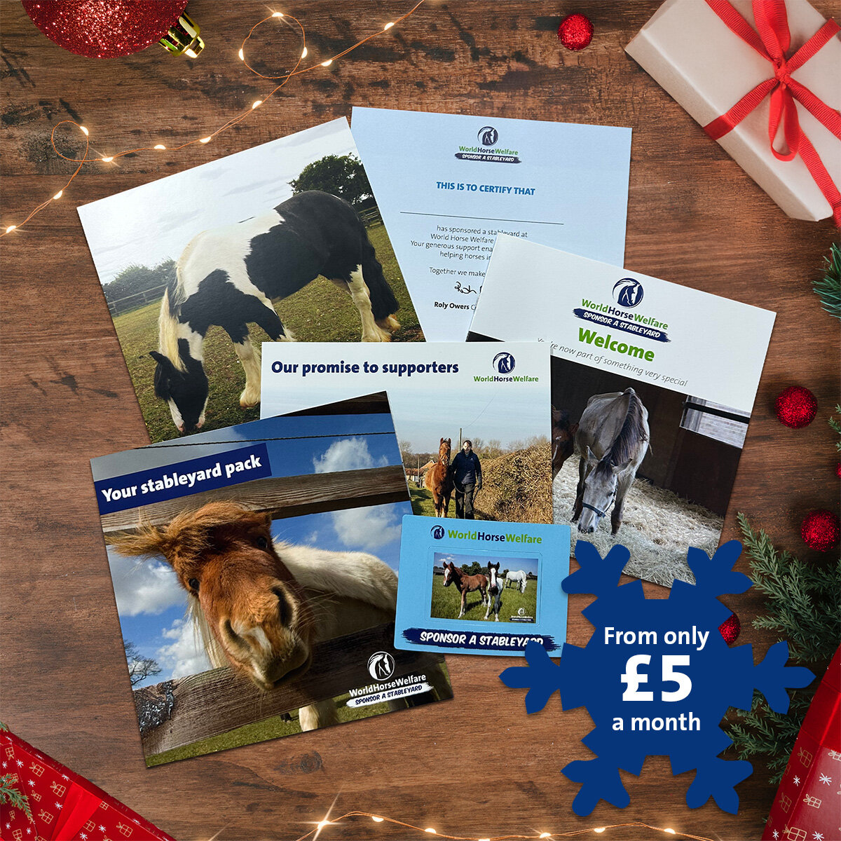 Sponsor a Stableyard welcome pack content laid out as a montage edged by Christmas decorations and the words From only £5 a month.