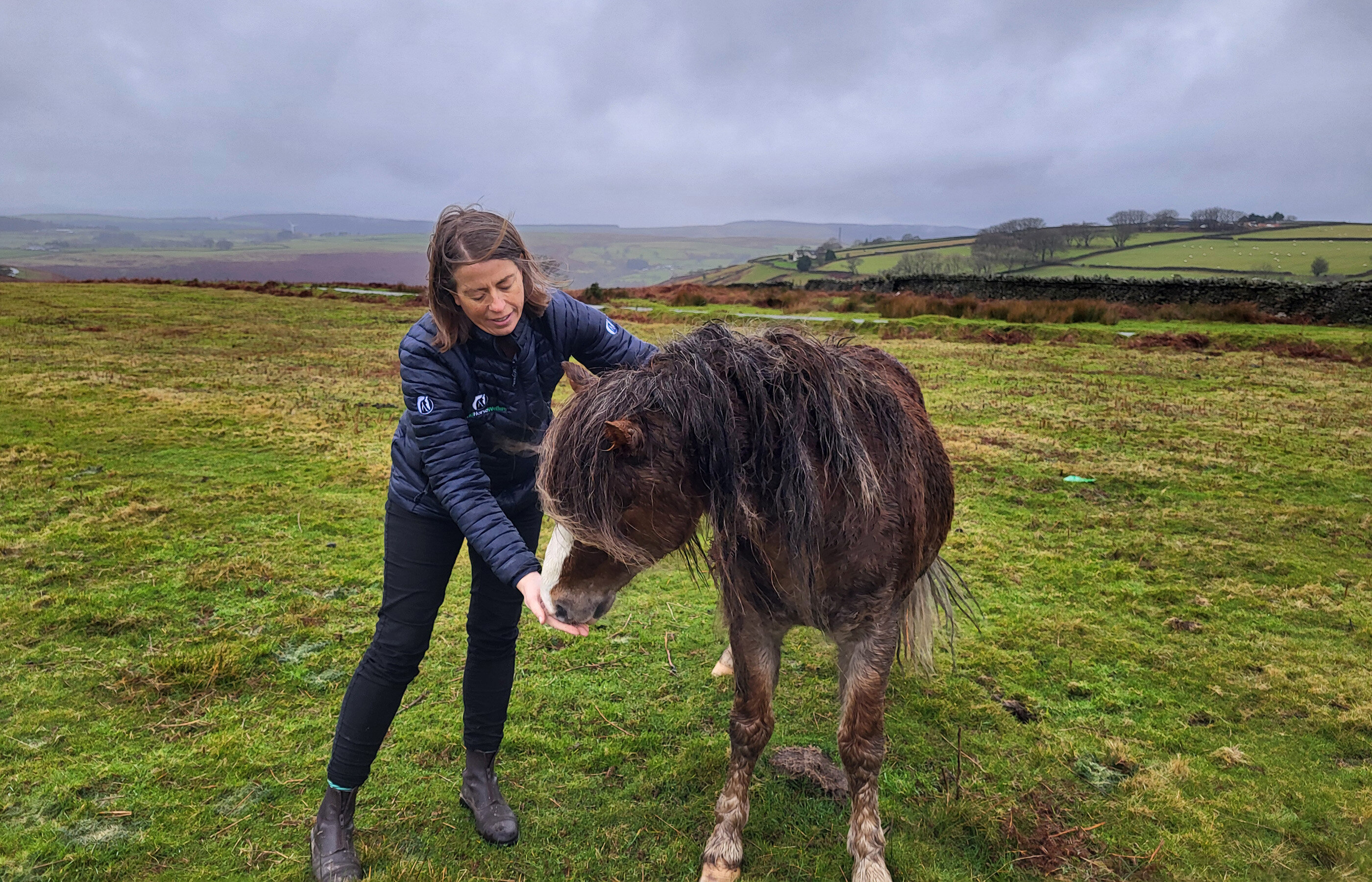 A tough summer for horses – and a tougher winter ahead