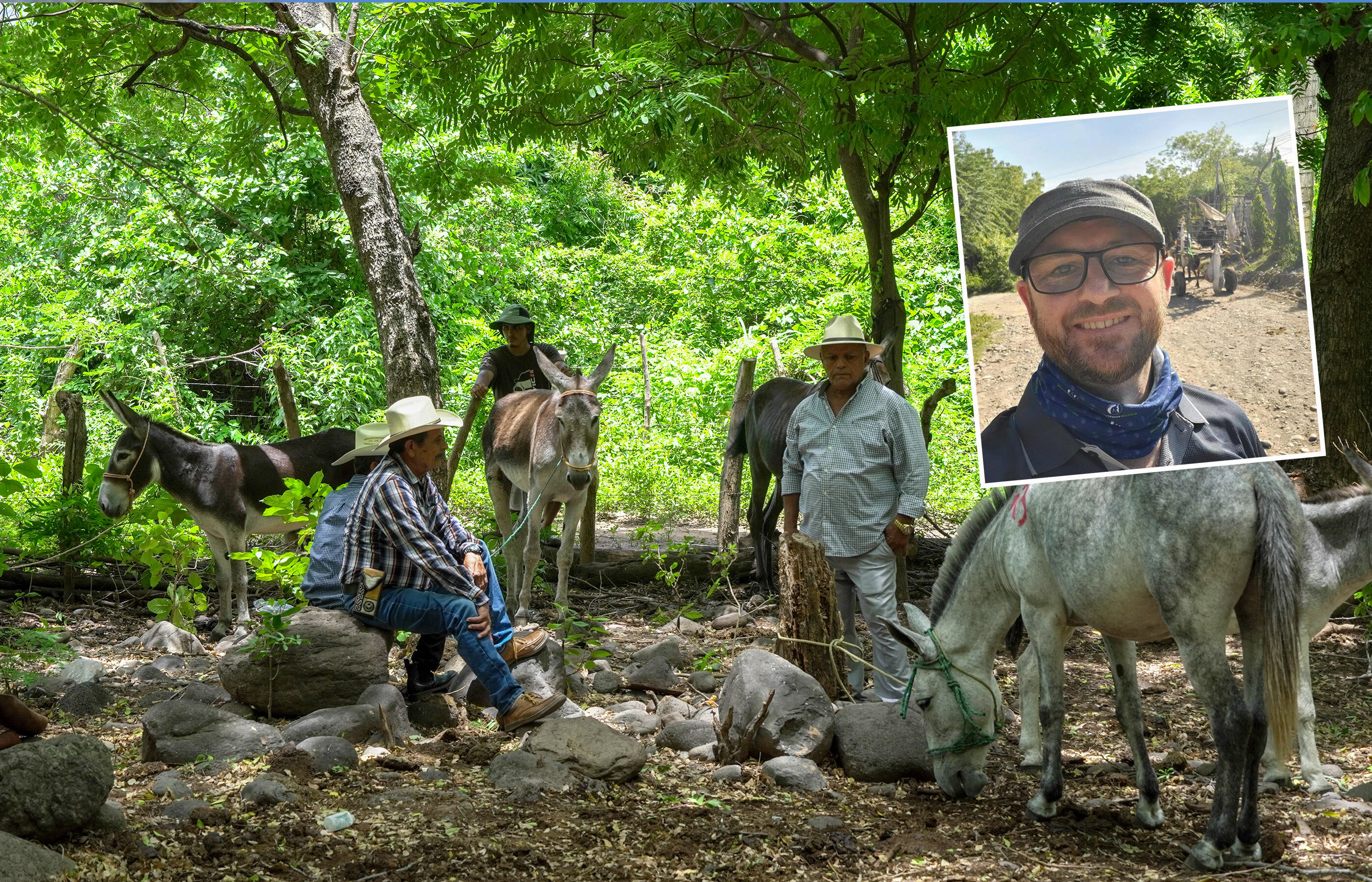 Bringing about real change for horses around the world