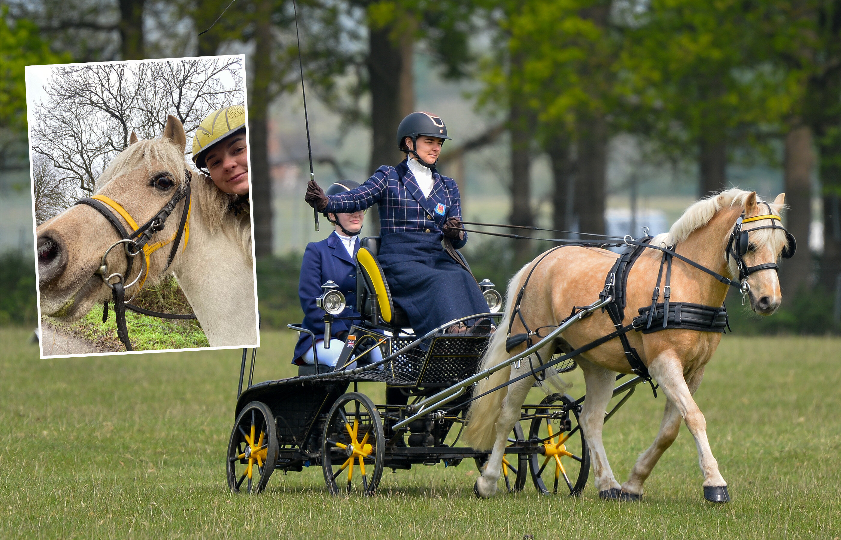 Life beyond rescue: “He’s gone from zero to FEI international 3* hero!” 