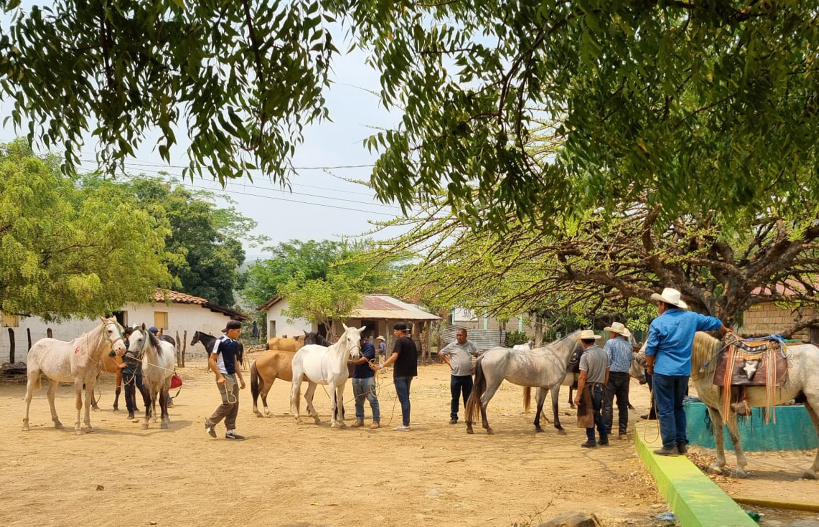 Celebrating World Animal Day