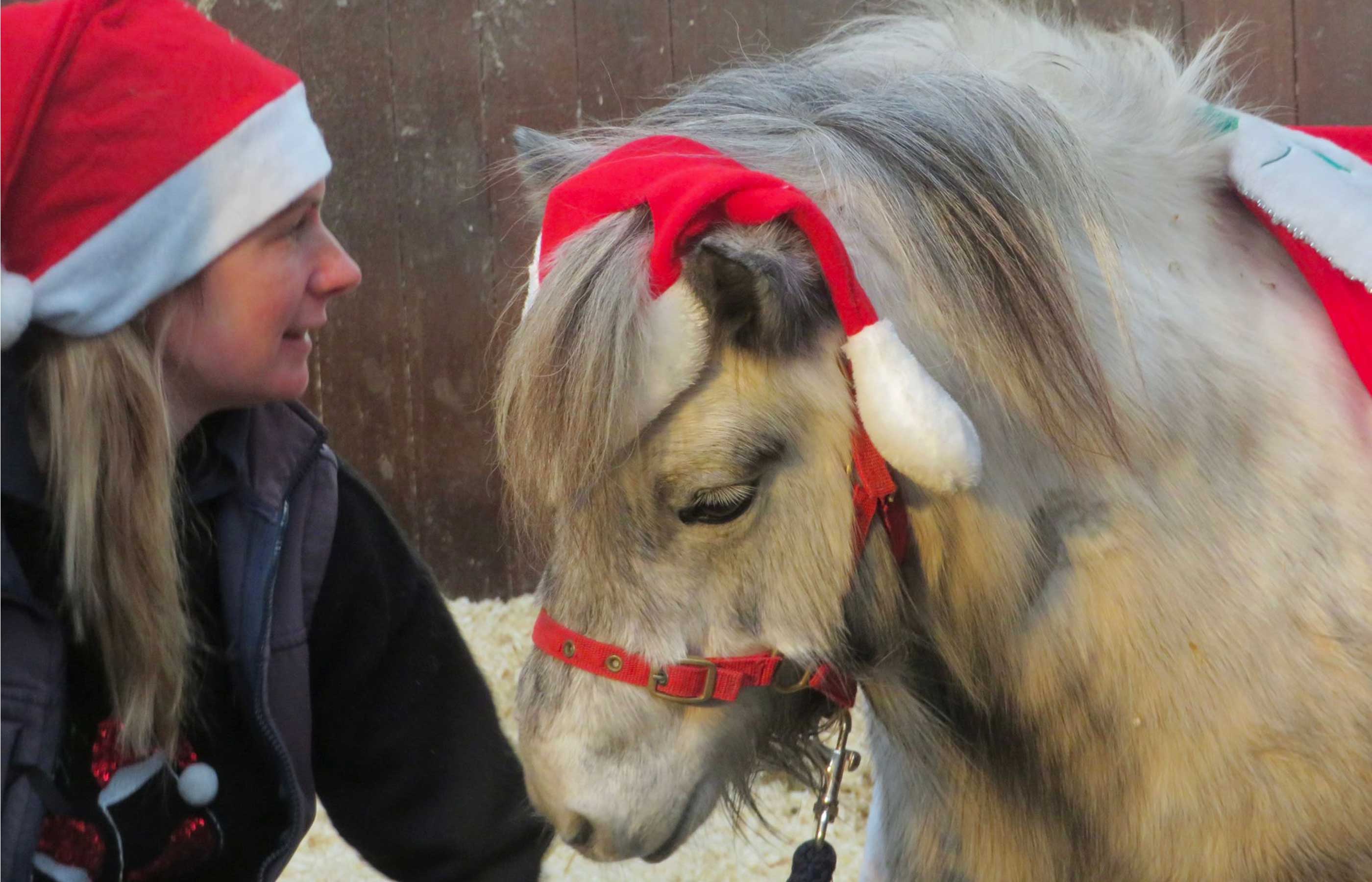 Choirs, crafts and Christmas cheer – Penny Farm’s festive fair returns