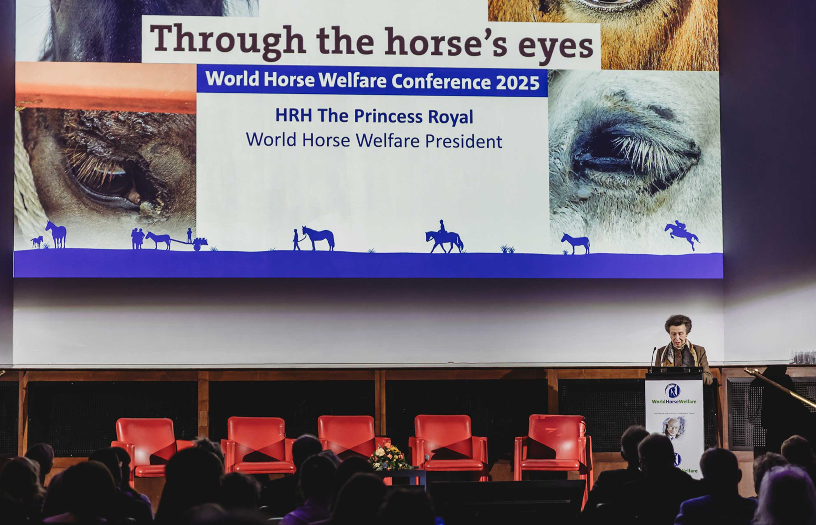 Why we should all take a look ‘Through the horse’s eyes’