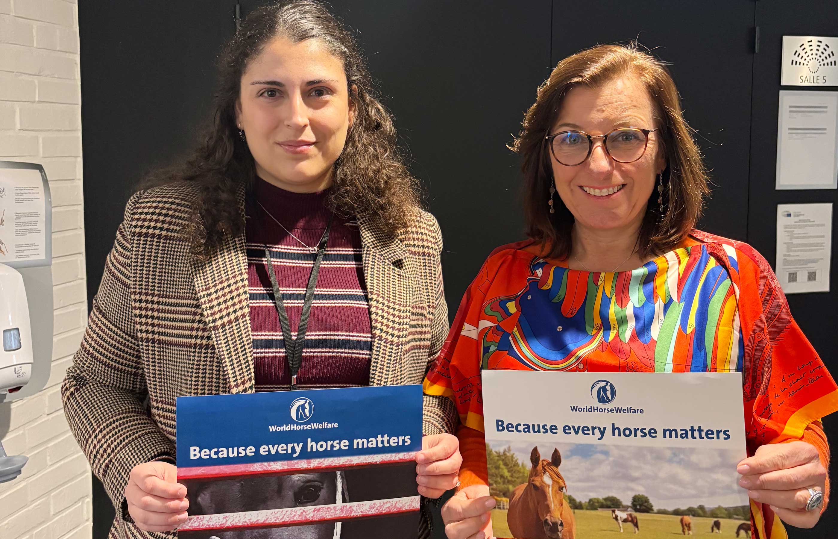 Putting horse welfare at the centre of the political agenda in Europe