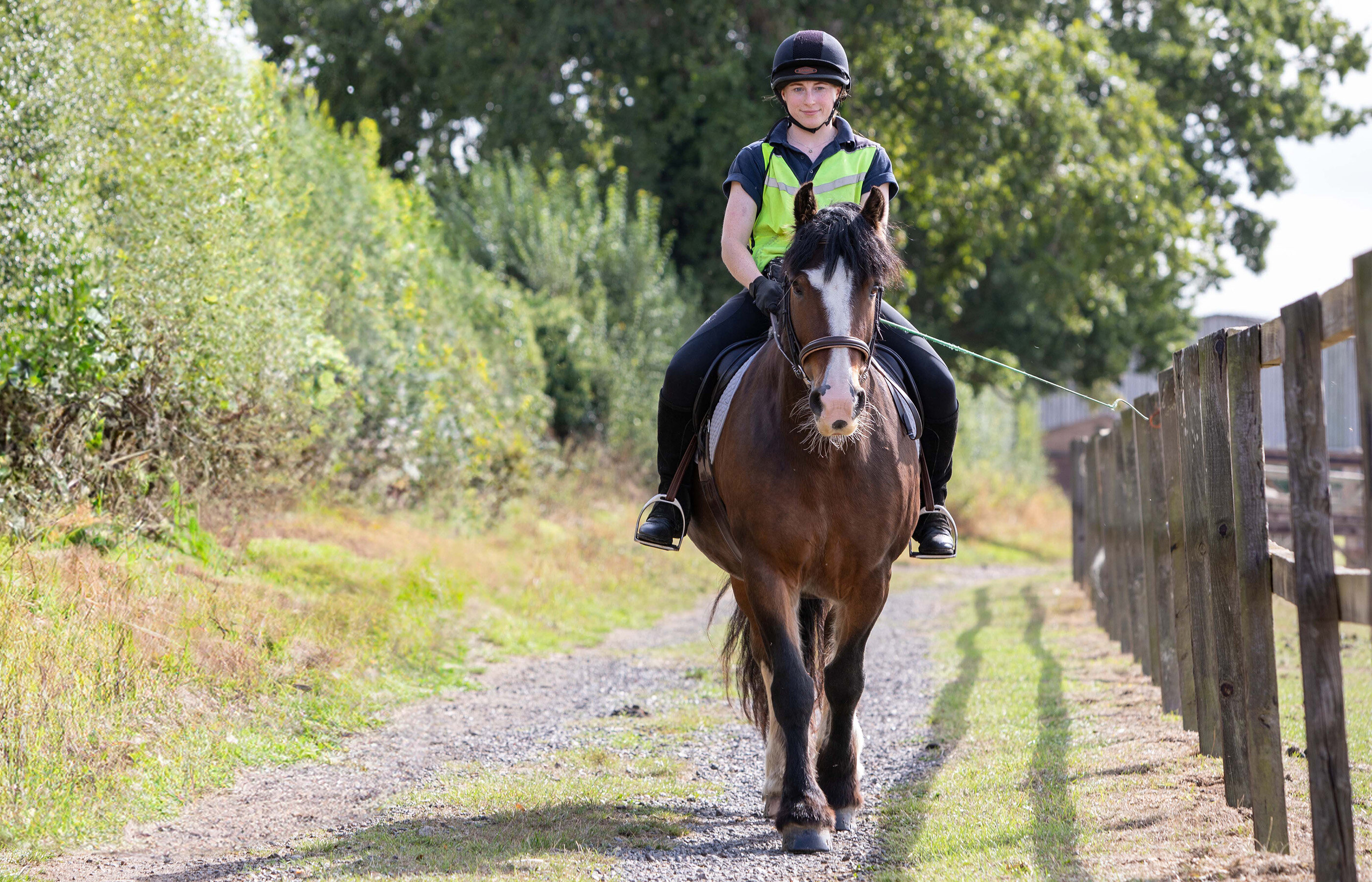 Why has World Horse Welfare produced guidance on whether and how to use a whip?