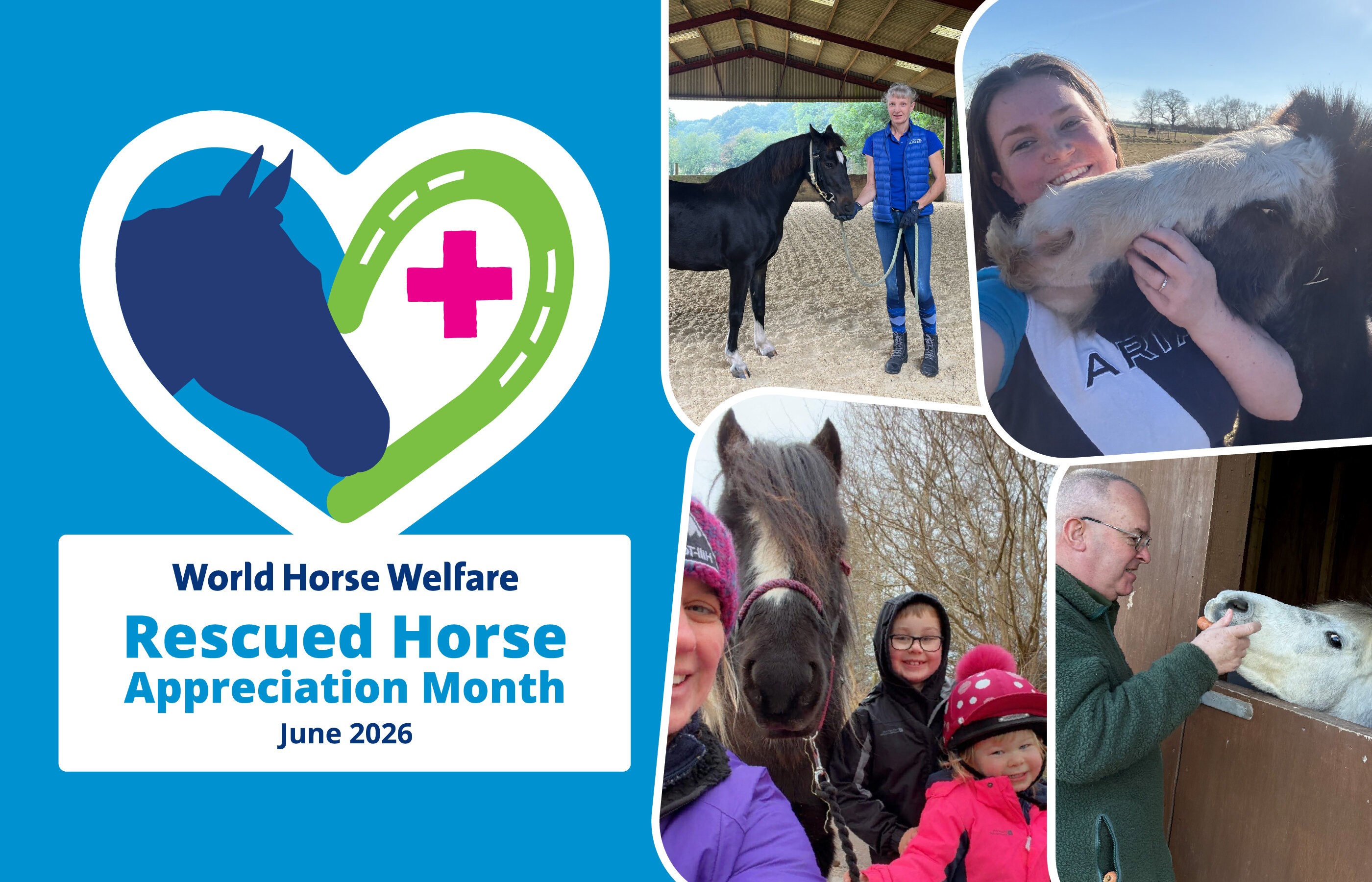 We’re launching our very first Rescued Horse Appreciation Month