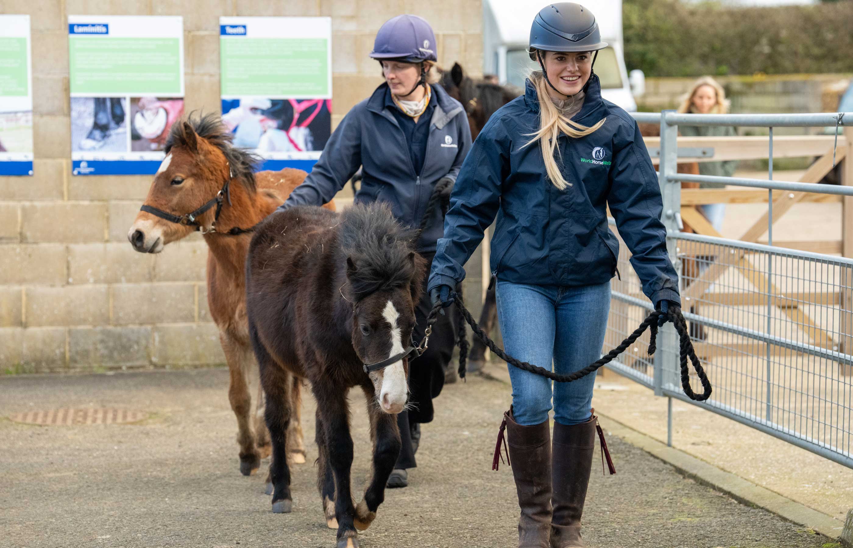 YouTube star visits Hall Farm to be a groom for the day