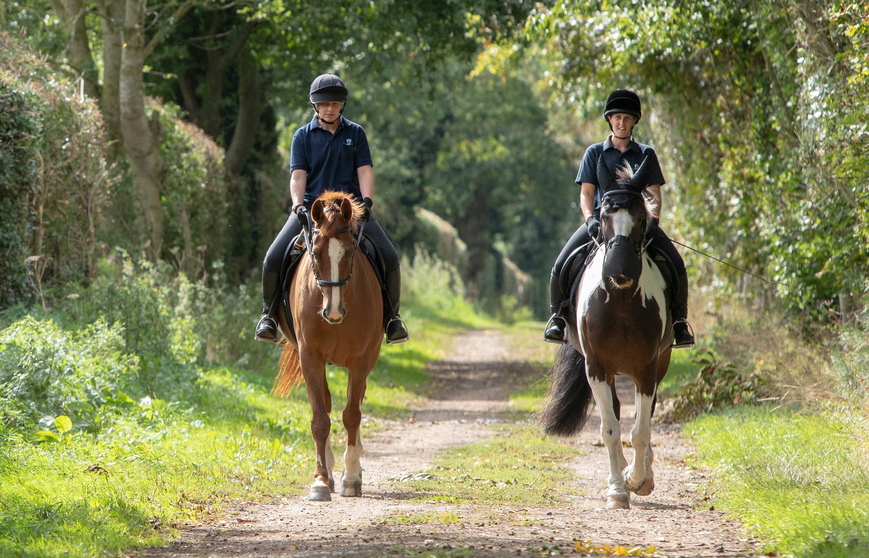 Ever wondered why riders and horse owners need public liability insurance?