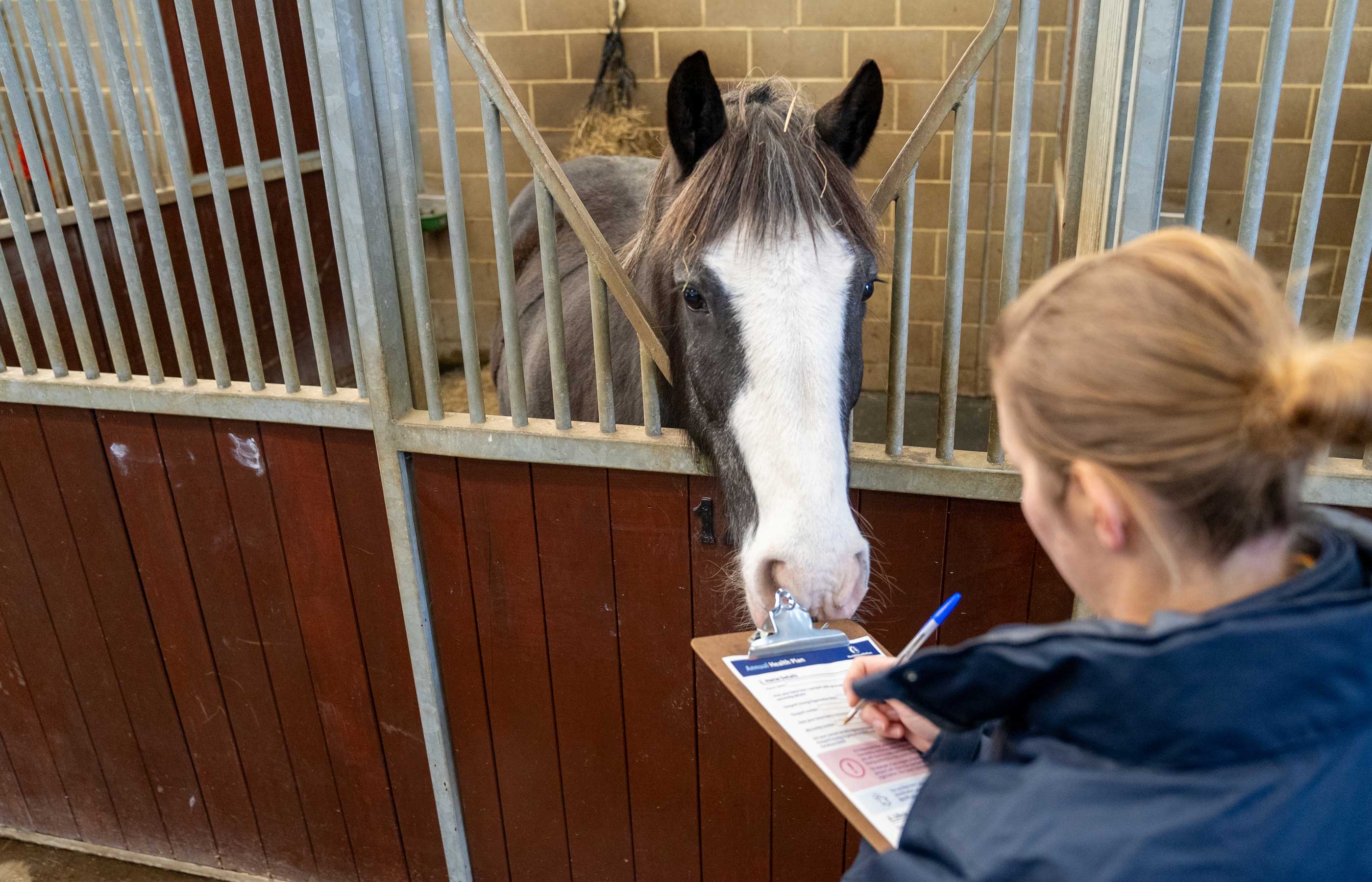 Webinar series set to wrap up with ‘How to assess your horse’s welfare’