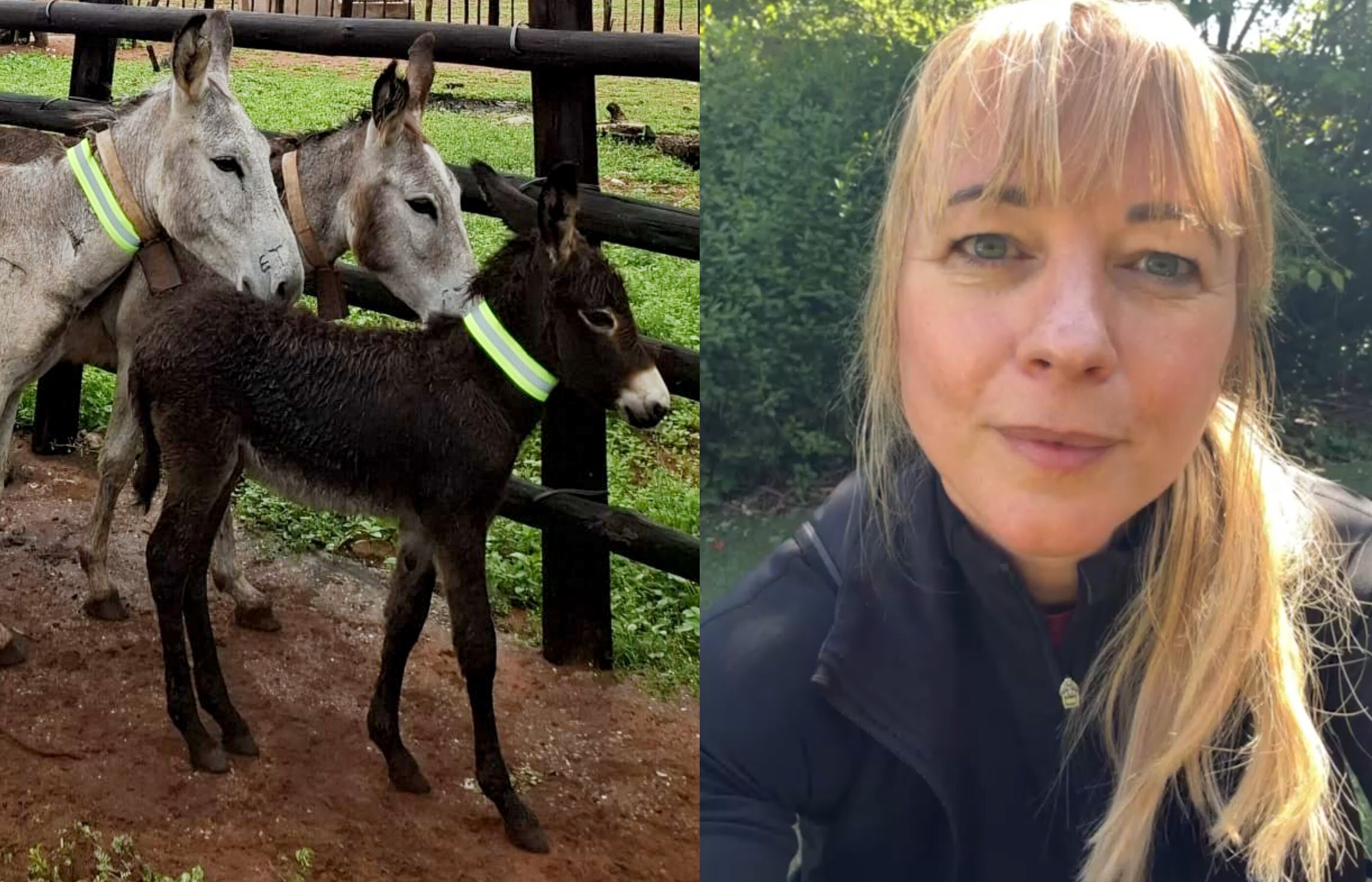 Sara Cox ensures brighter future for hundreds of donkeys in Zimbabwe