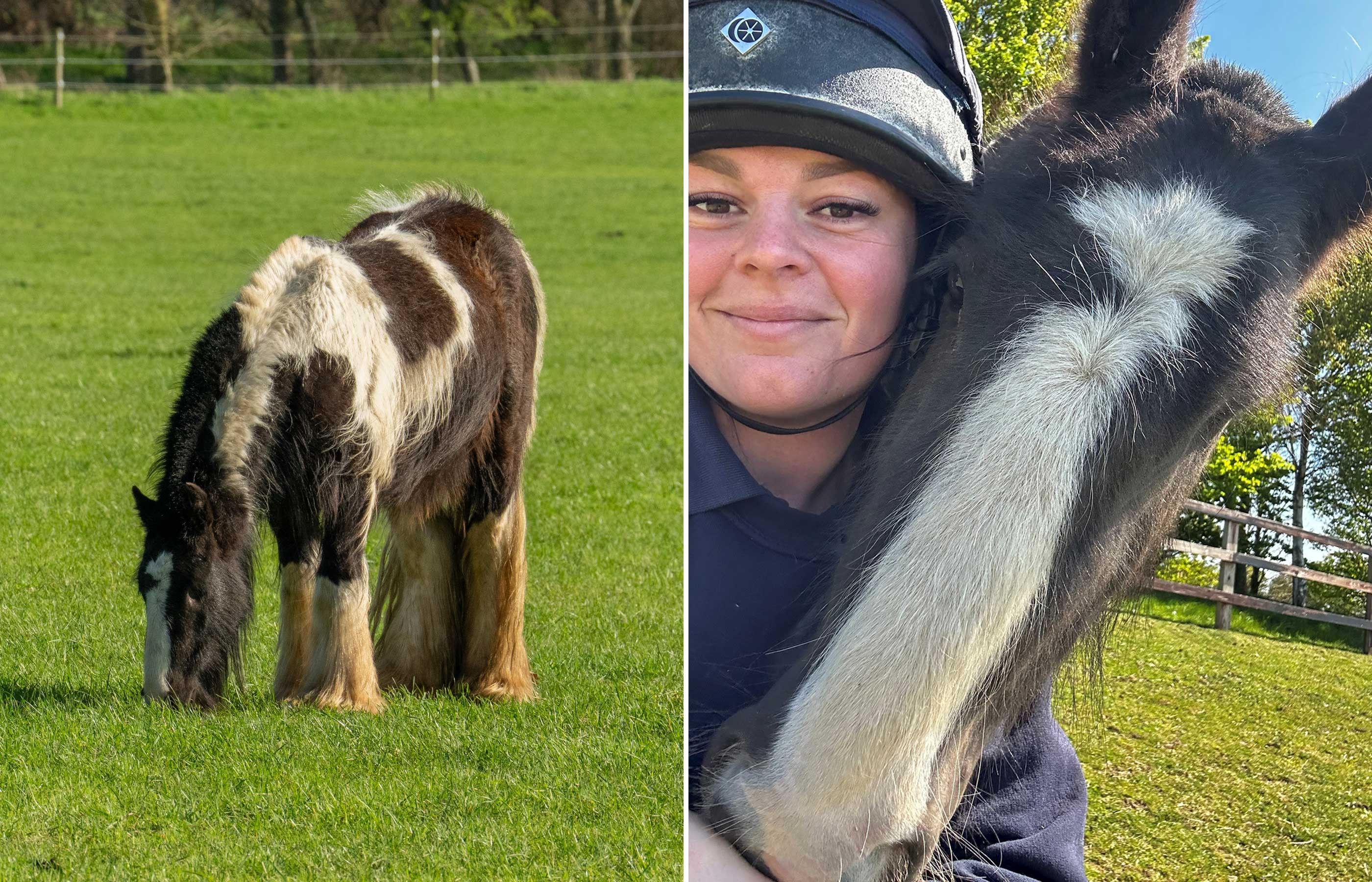 One-eyed pony thriving after charities collaborate to save him