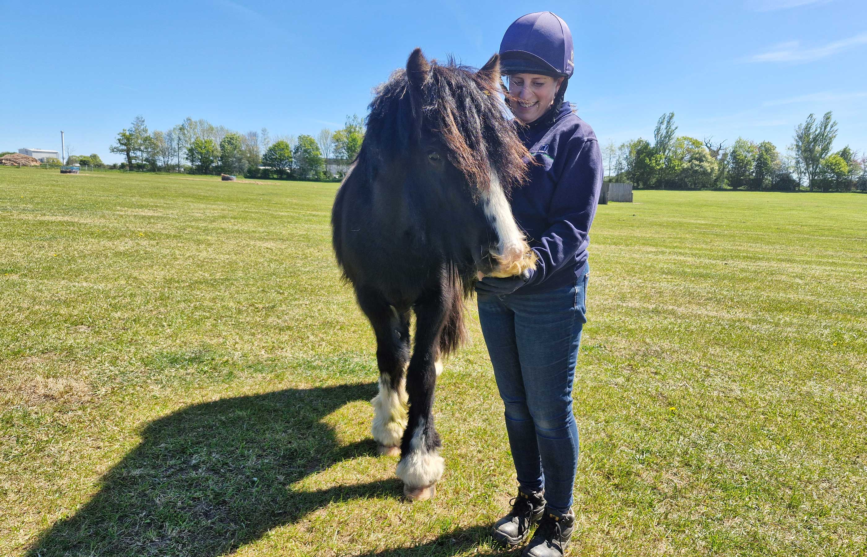 The journey to safety: how horses come into our care