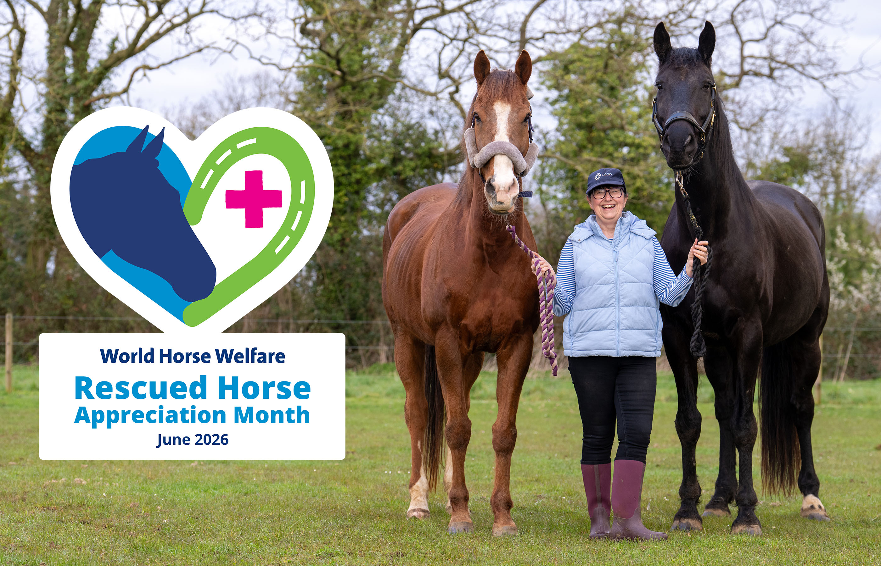 We launched our first-ever Rescued Horse Appreciation Month!
