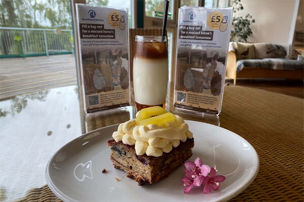 An iced latte and piece of cake in the cafe on a table at Belwade Farm
