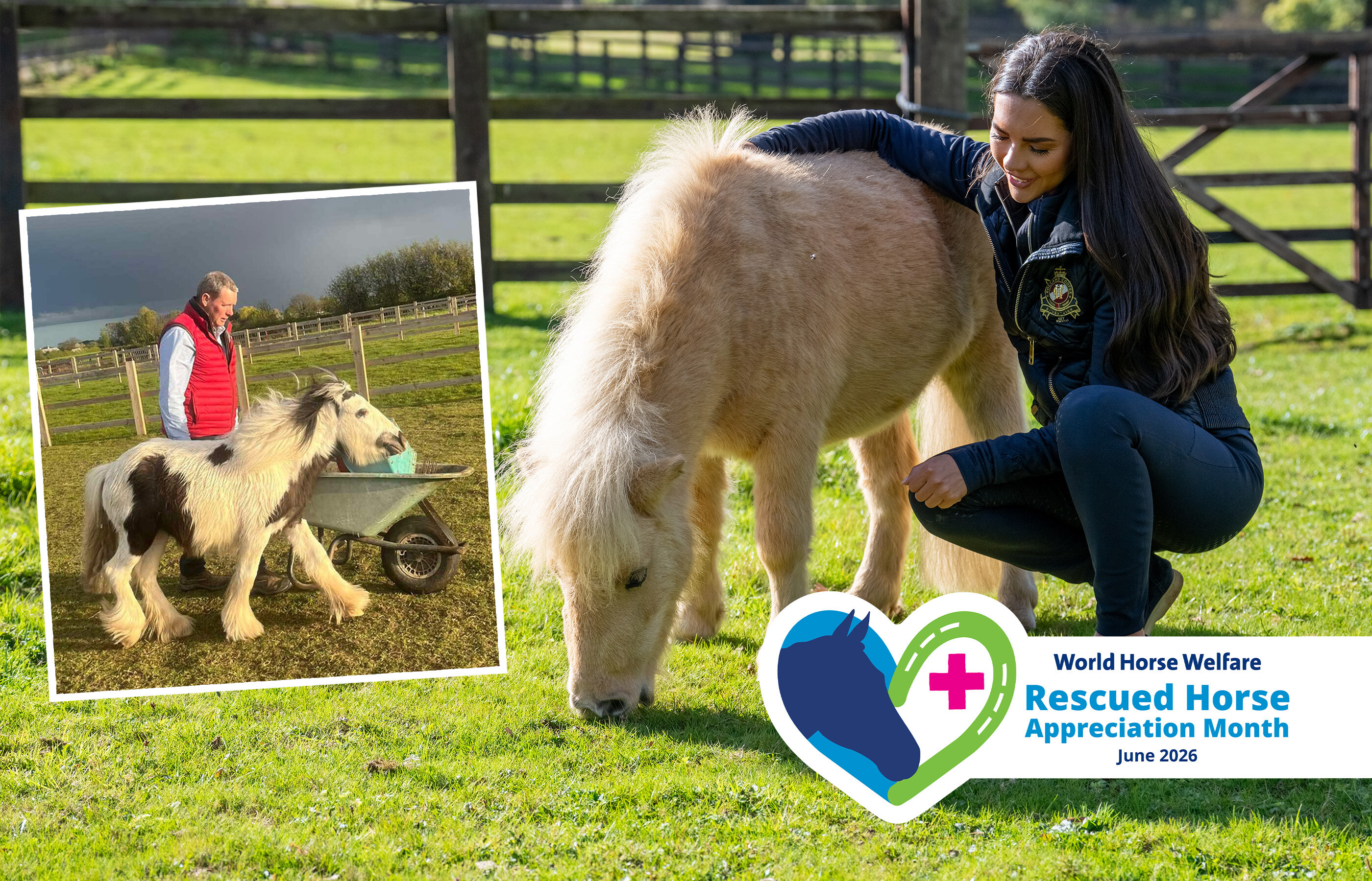 Rescued Horse Appreciation Month: Bert, Slinky and Babybel