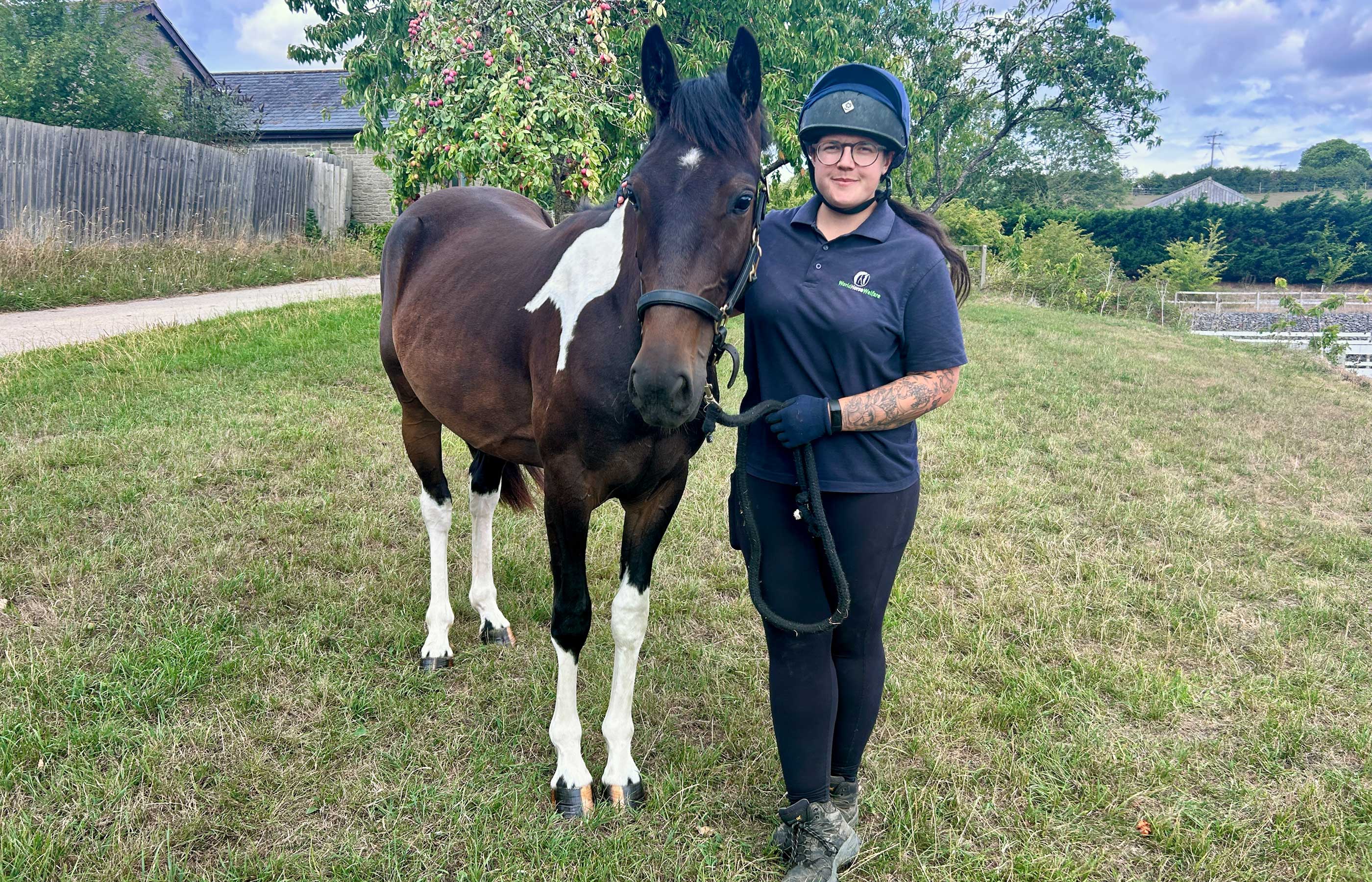 Birth of first foal from rescued ‘smuggled’ Dover 26 horses
