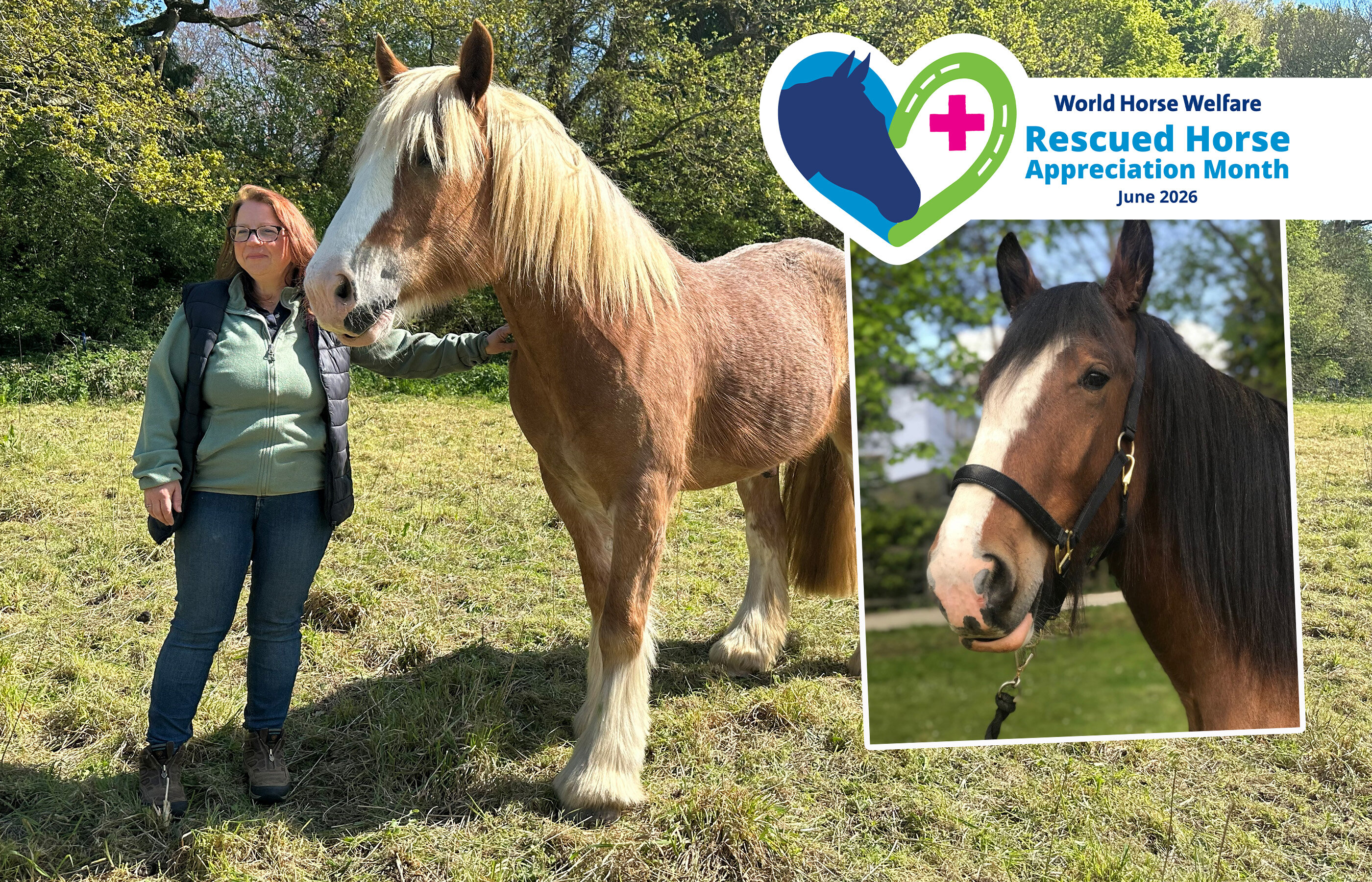 Rescued Horse Appreciation Month: Tess and Kite