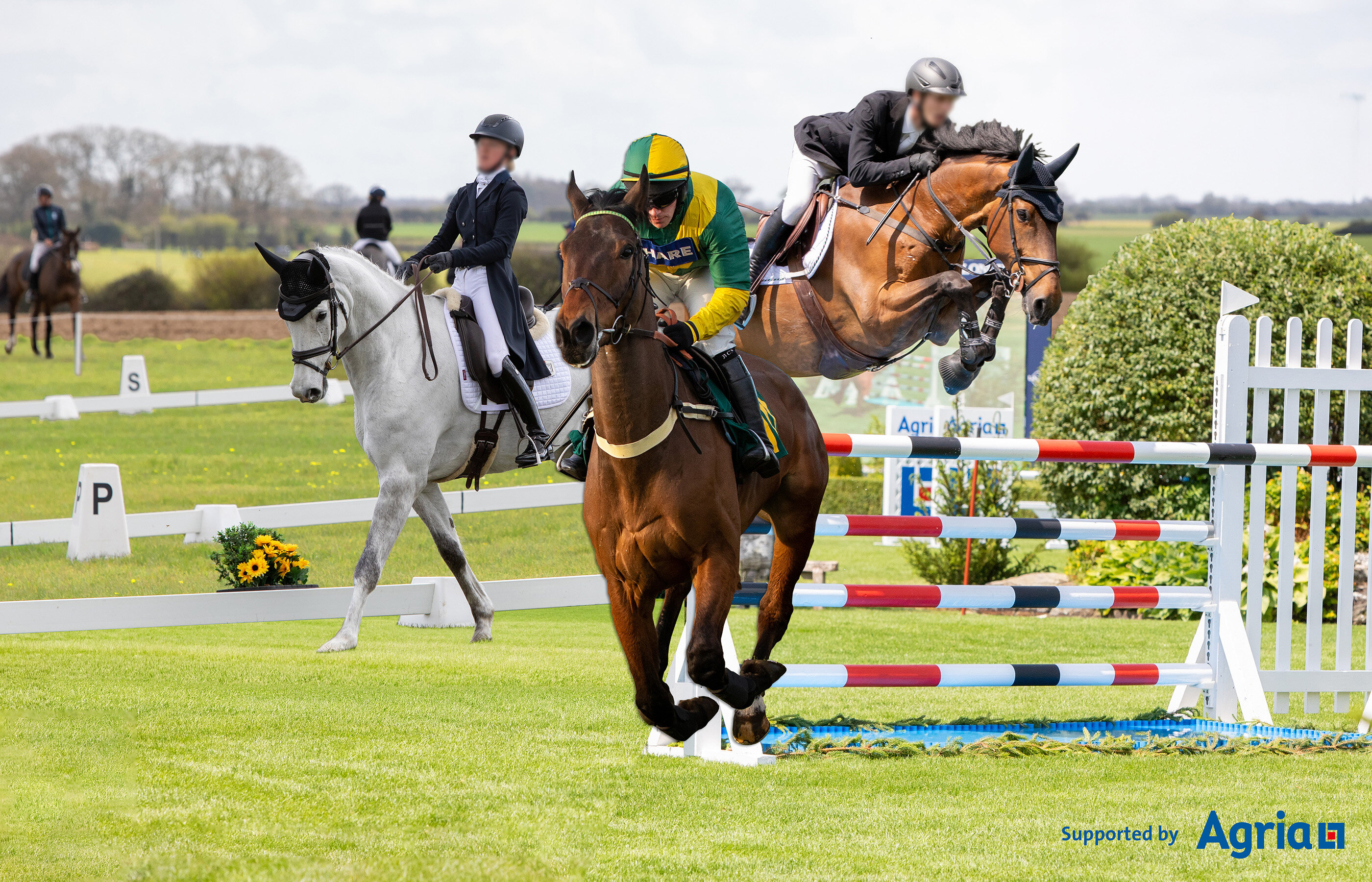 Horse sport leaders consider case for continual learning, Central Park test and need for humility