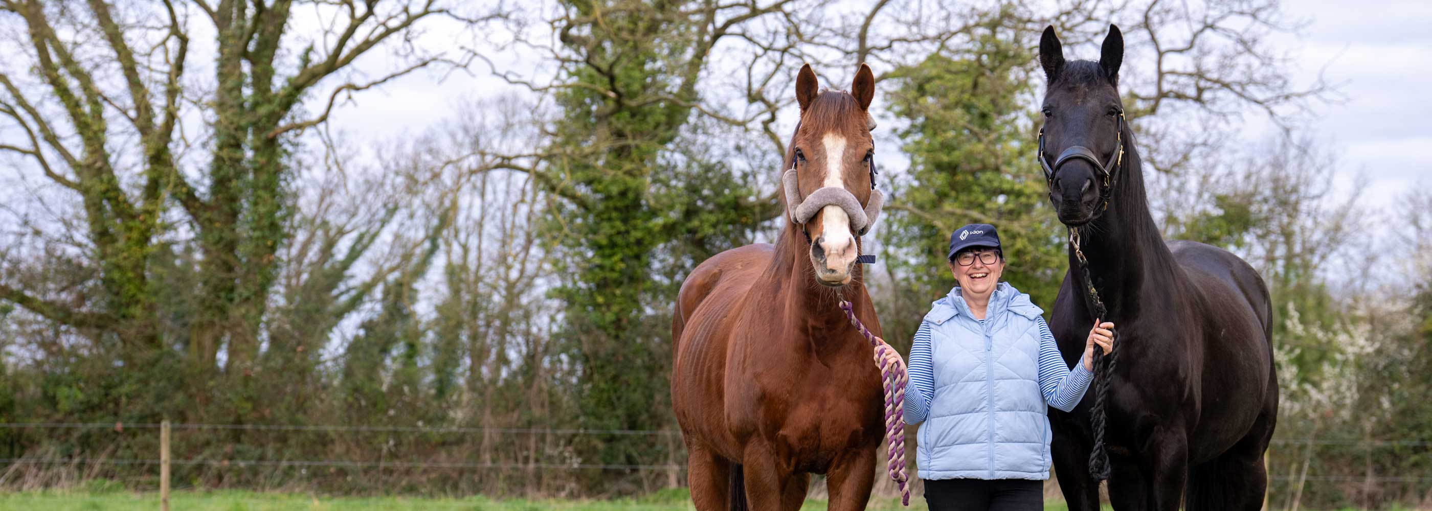 Rehoming - Louise-and-Hughie-banner 1