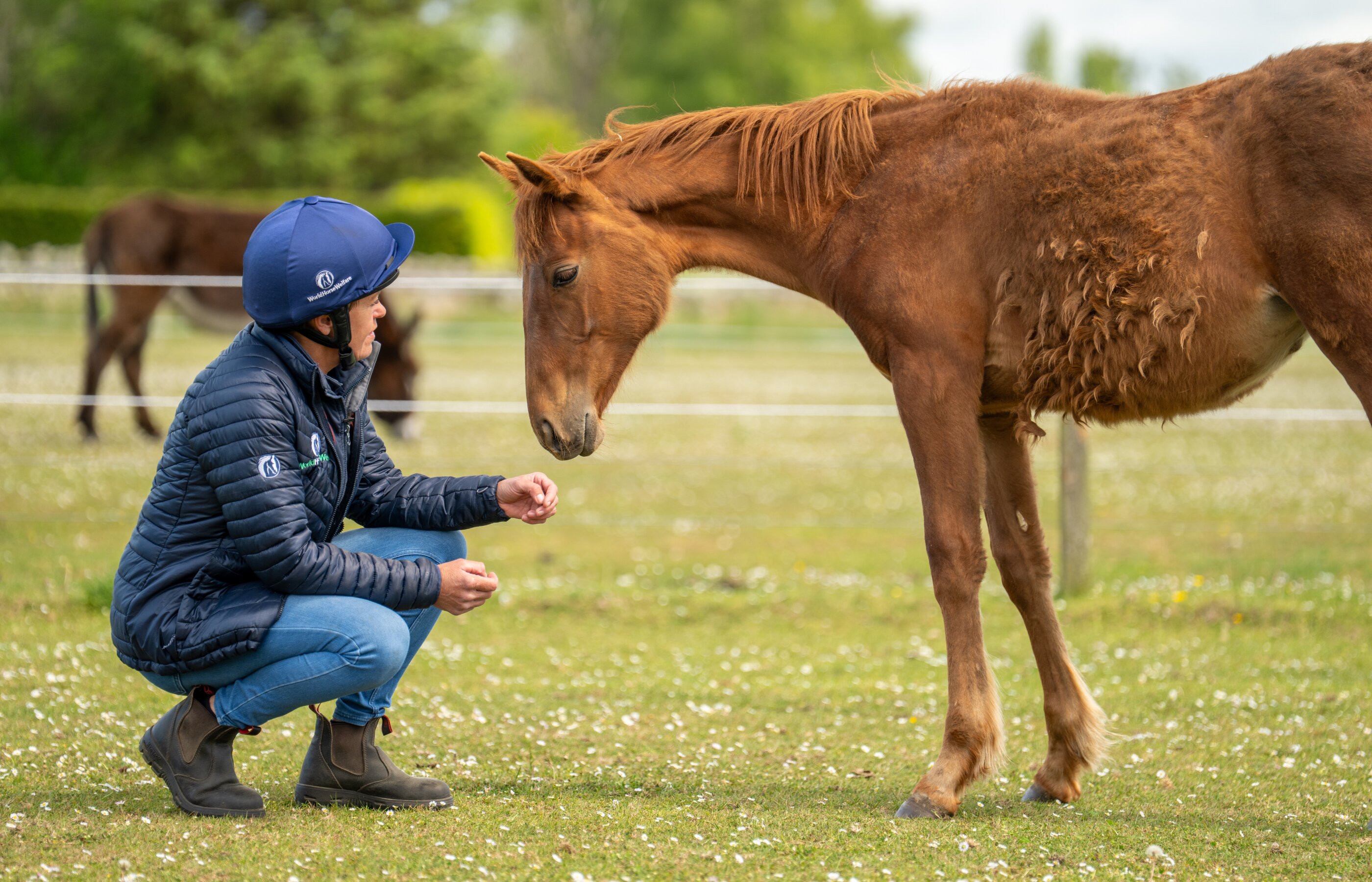 Rider crouched down in front of her horse with their heads close to each other