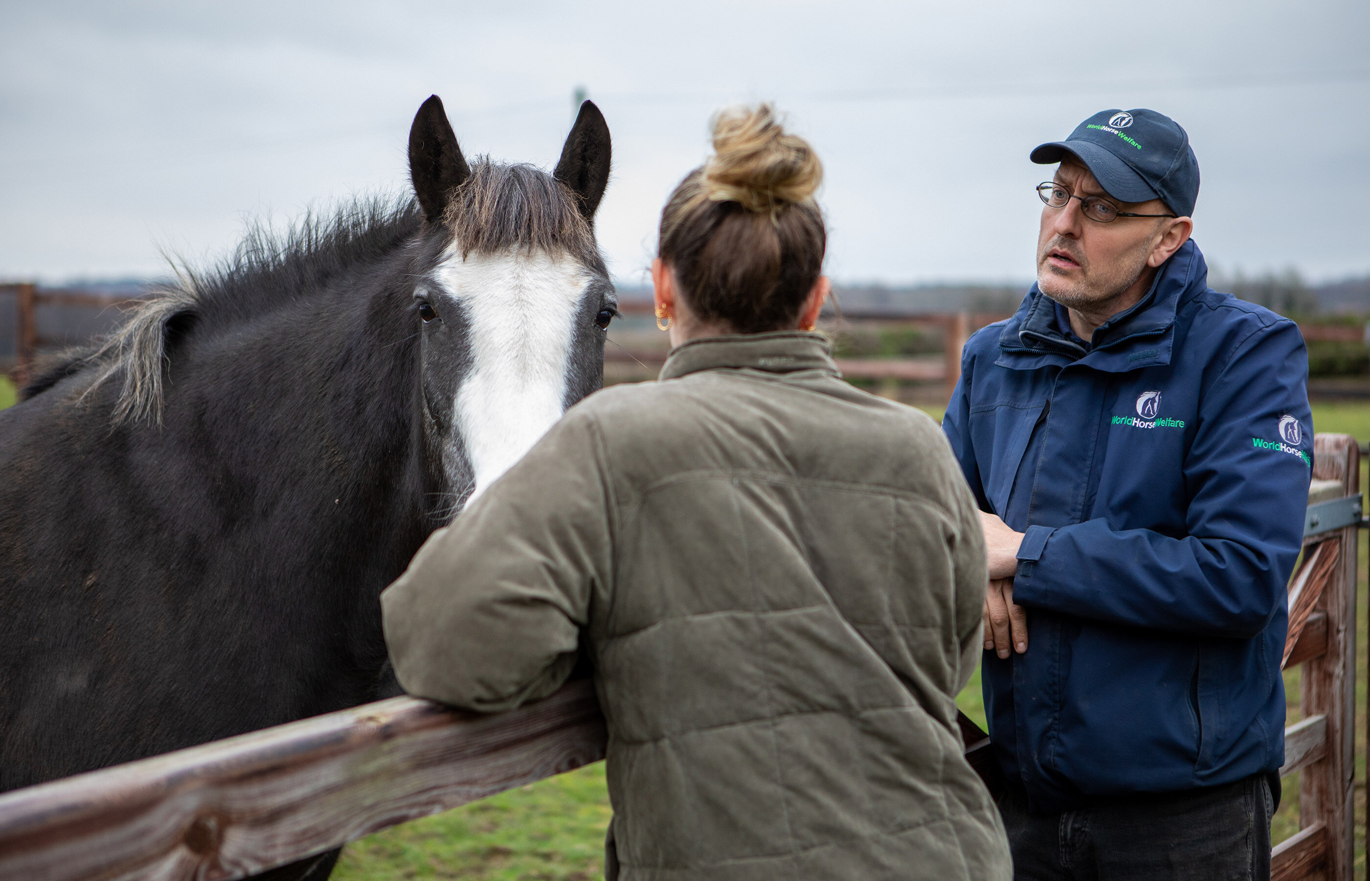Going upstream: helping horses before a crisis takes hold