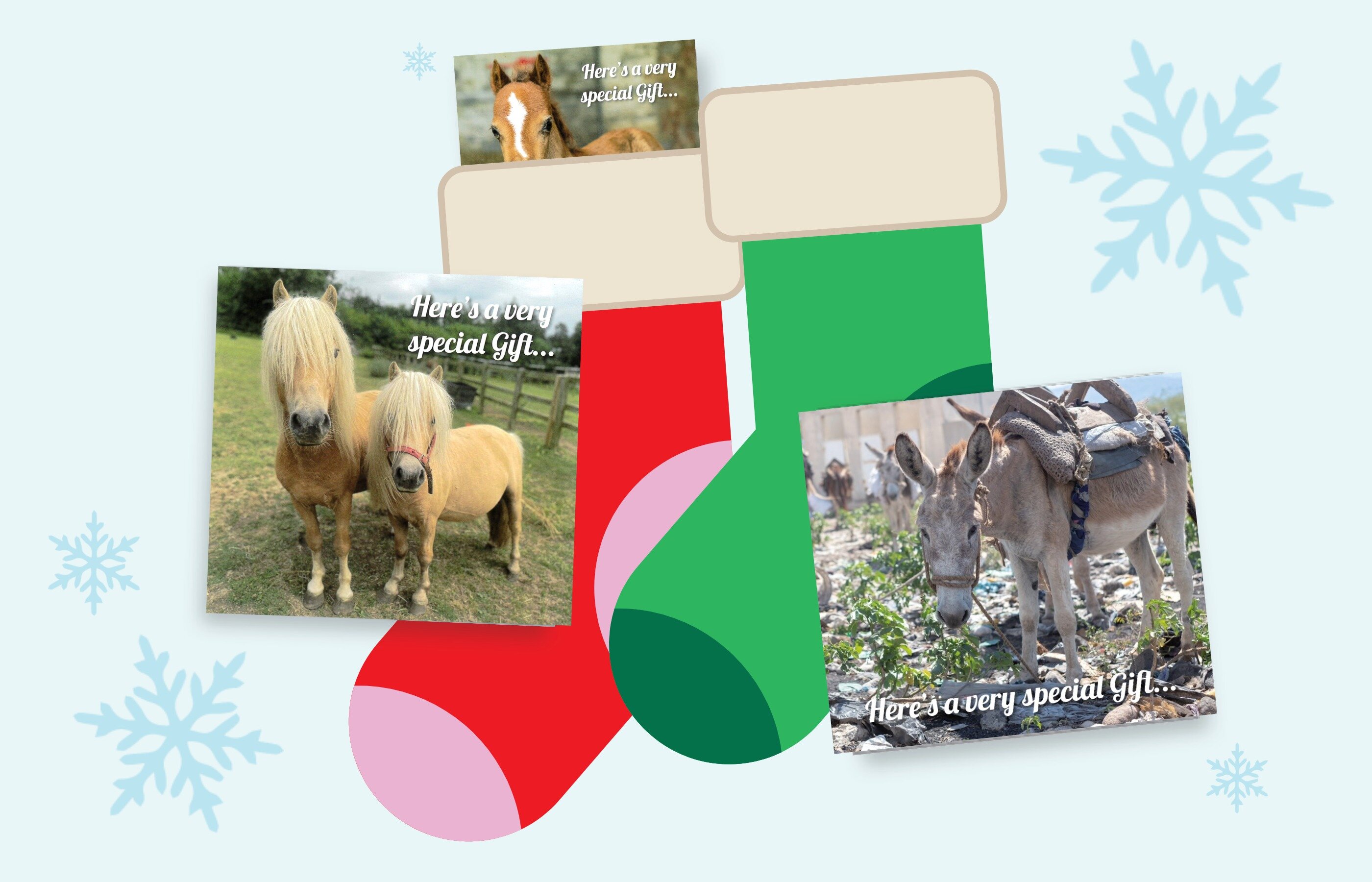 Montage of a chestnut foal, two miniature palomino ponies and a donkey wearing a saddle pannier all with the words Here's a very special gift.