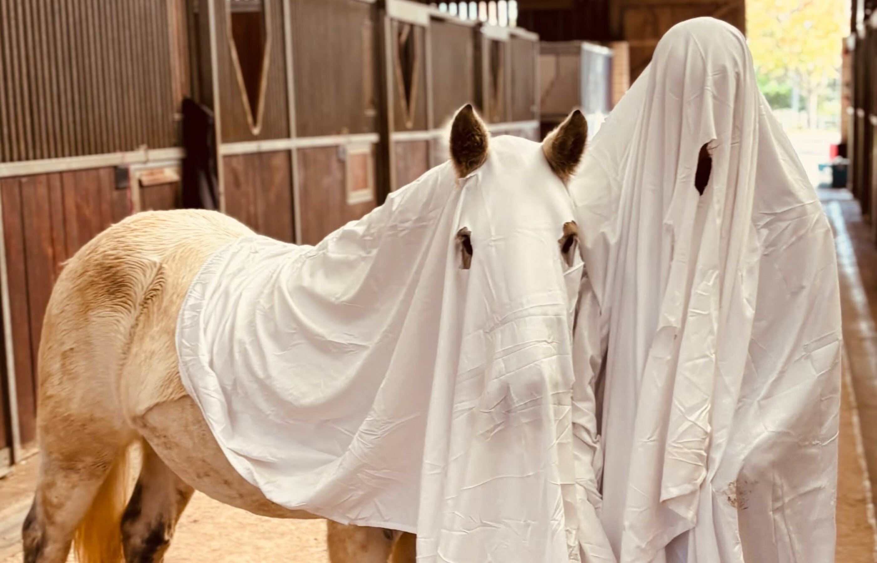 Hobby horse fun – Halloween