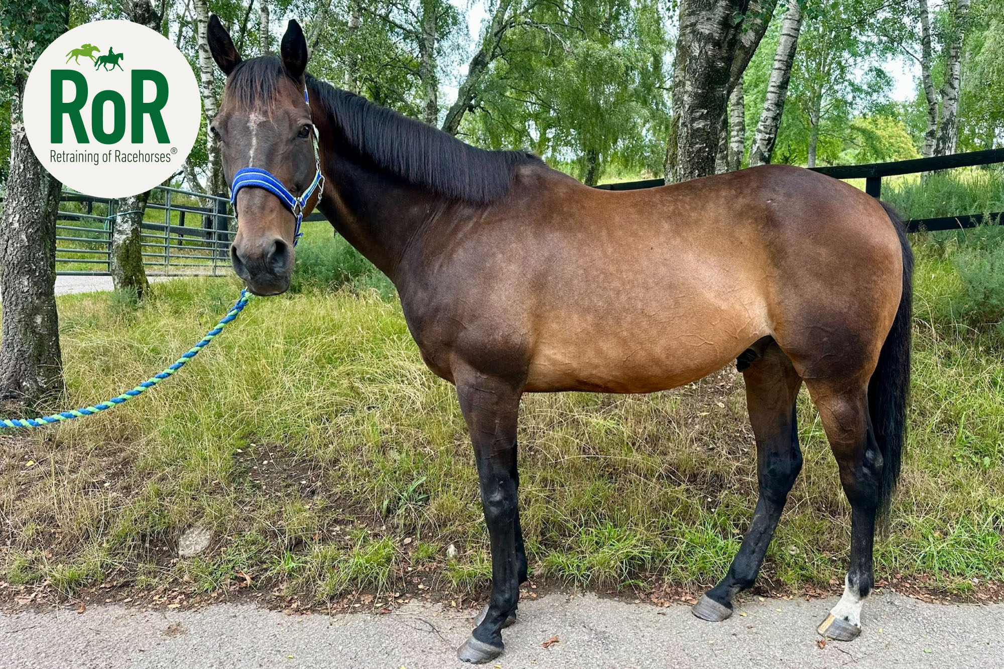 photo of Lean and Keen (Keenie)