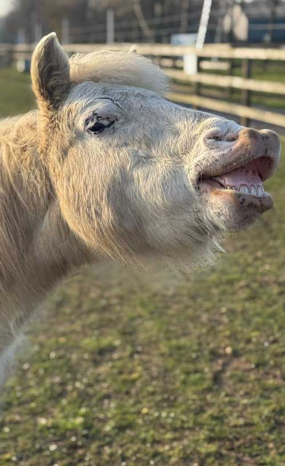 Headshot of Thelma