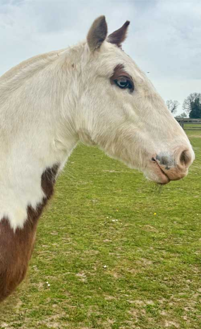 Headshot of Willamina