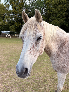 Headshot of Salma