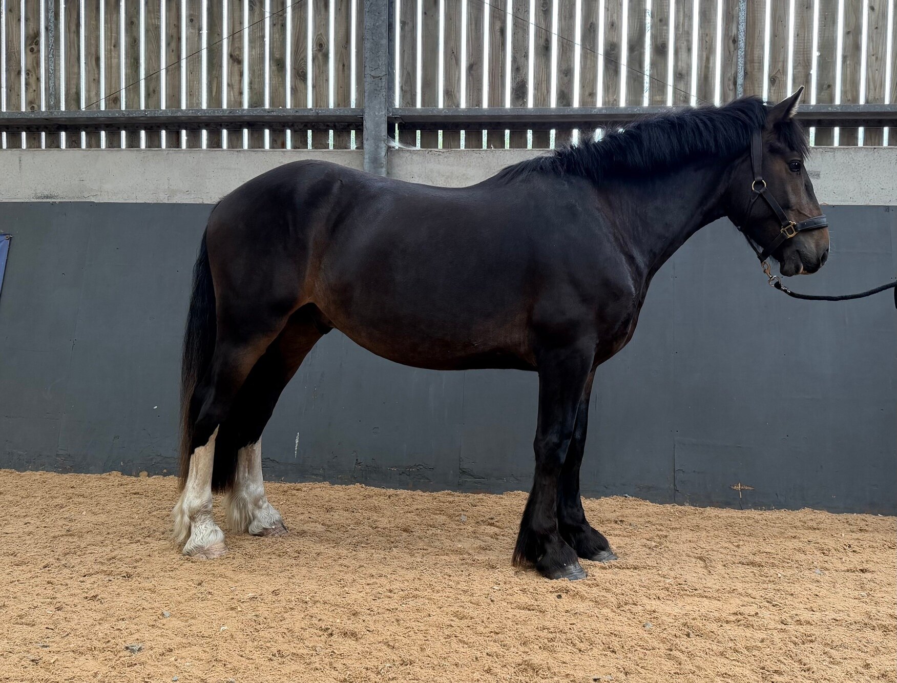 photo of Jo Jo